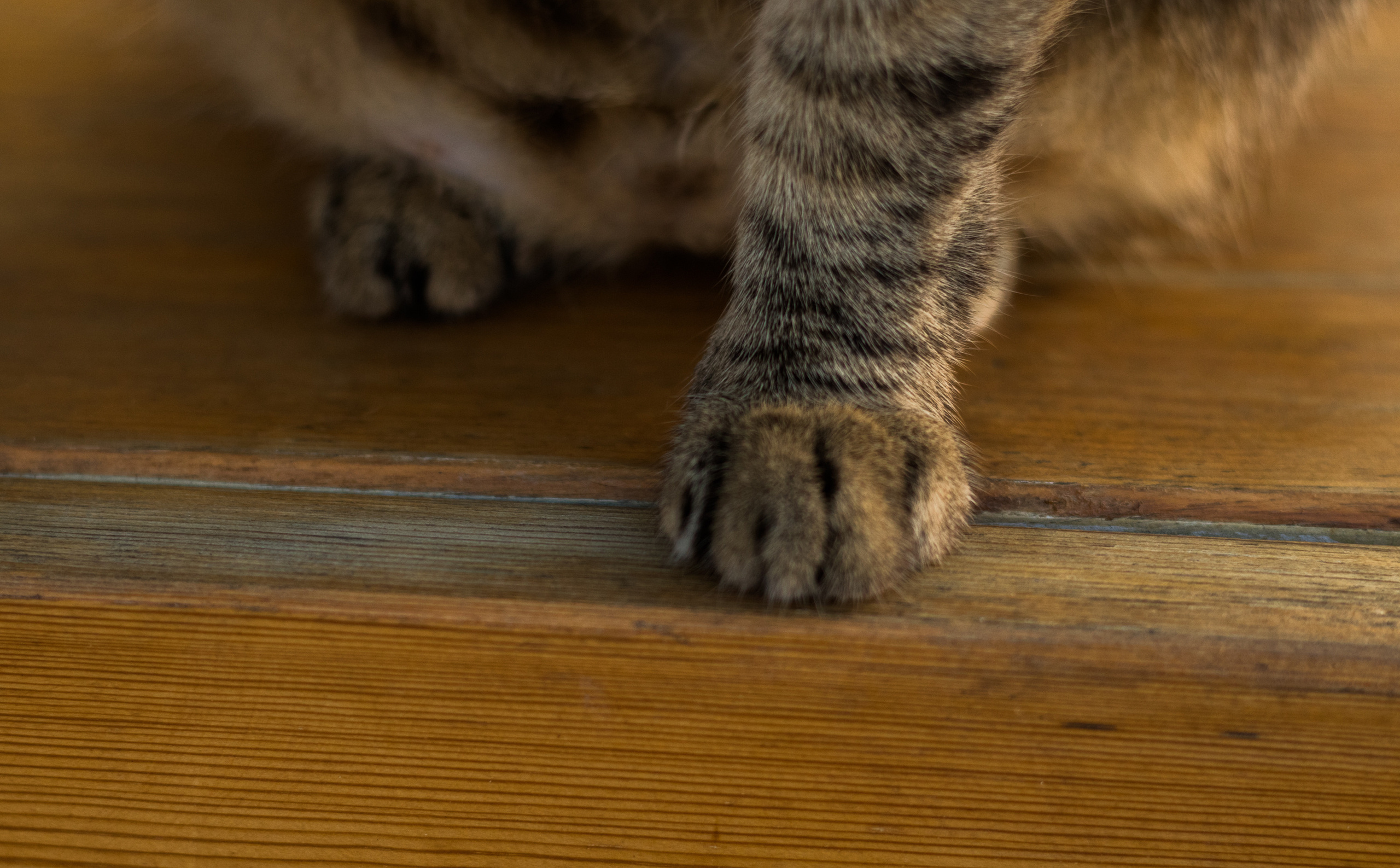 «Sacred Land». Портретный фотограф Ярославль I Натали Чуб