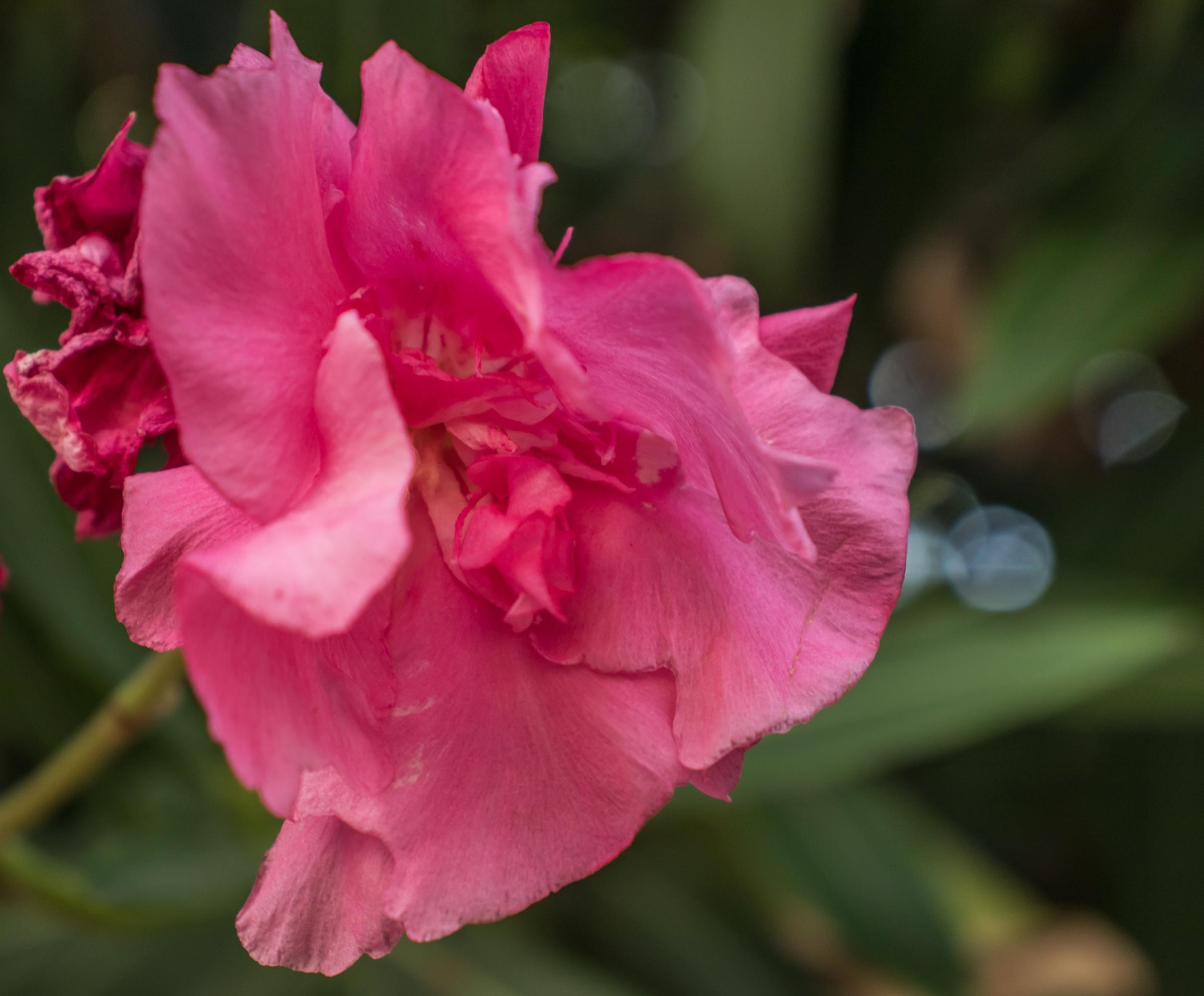 «Sacred Land». Портретный фотограф Ярославль I Натали Чуб