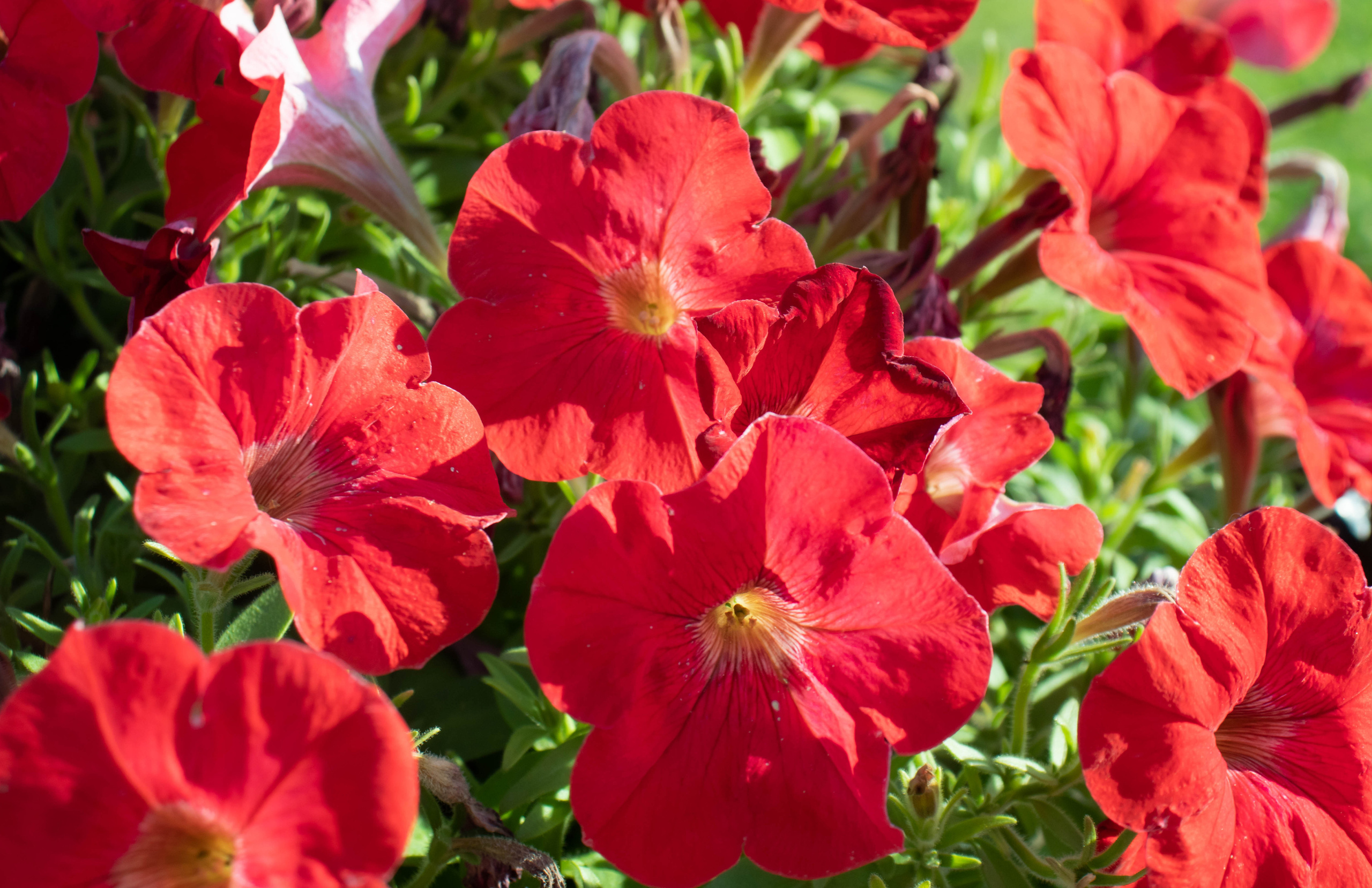 «Tolga Trip». Портретный фотограф Ярославль I Натали Чуб