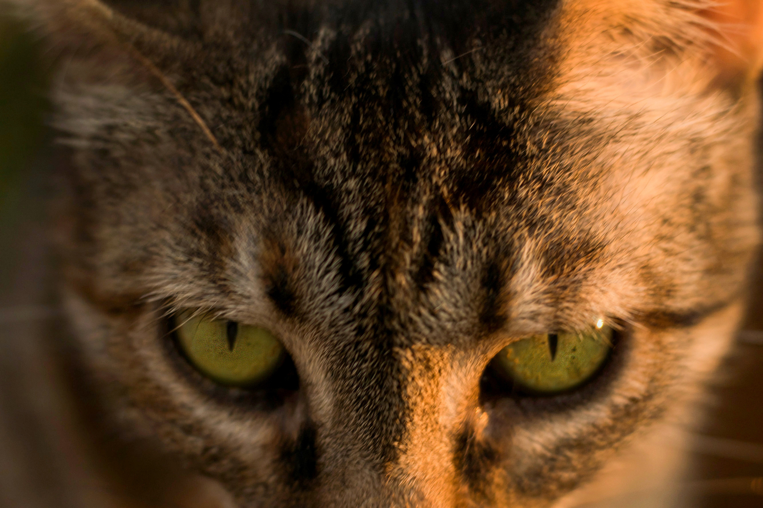 «Sacred Land». Портретный фотограф Ярославль I Натали Чуб