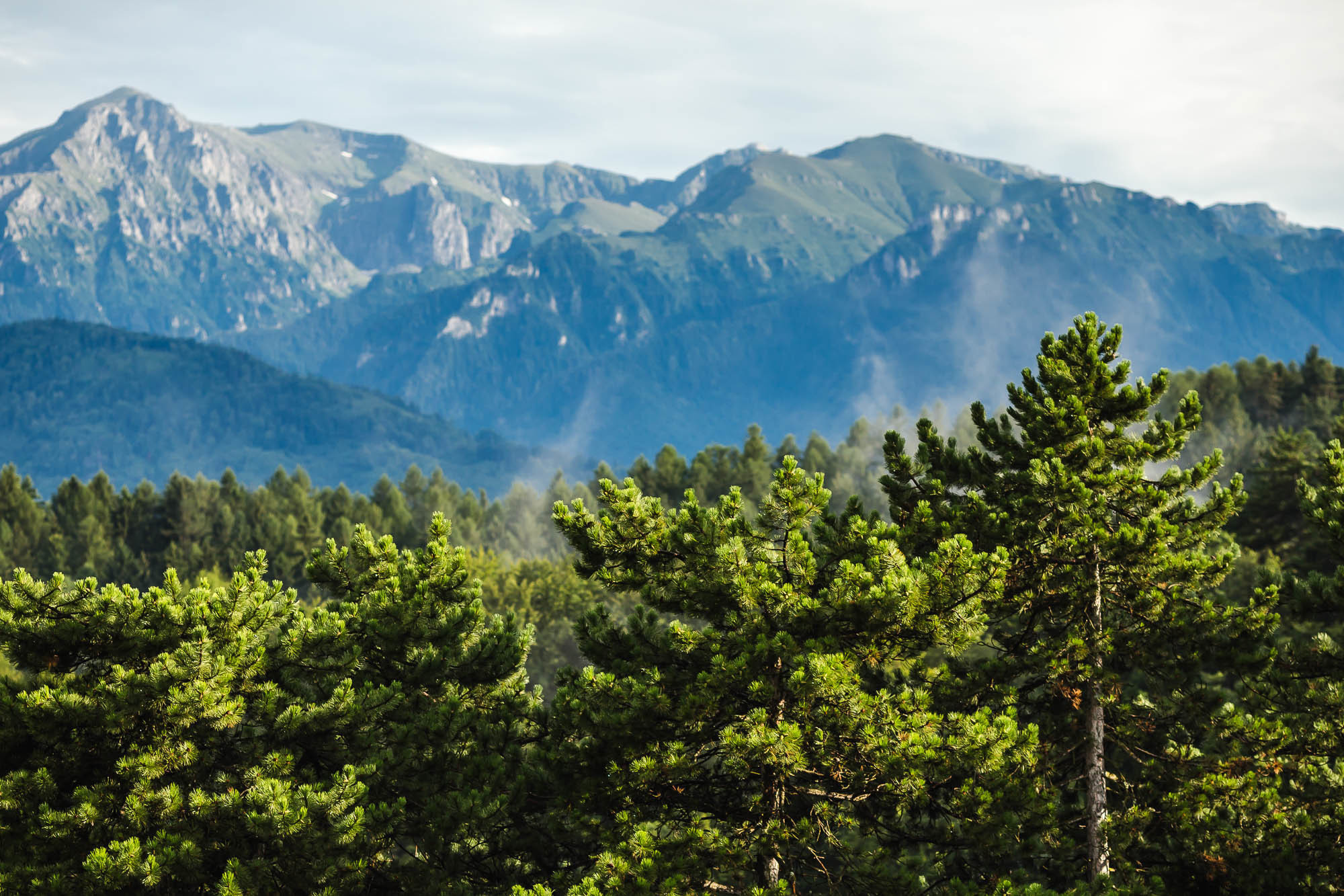 Путешествие в Румынию | Часть 4/4. Фотограф Дмитрий Питерский