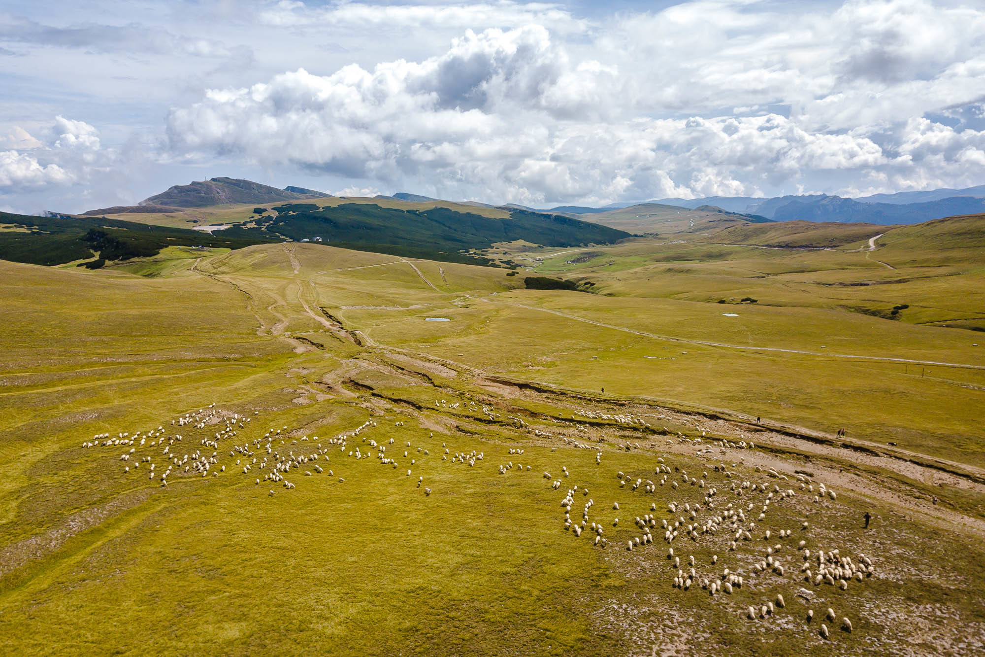 Путешествие в Румынию | Часть 4/4. Фотограф Дмитрий Питерский