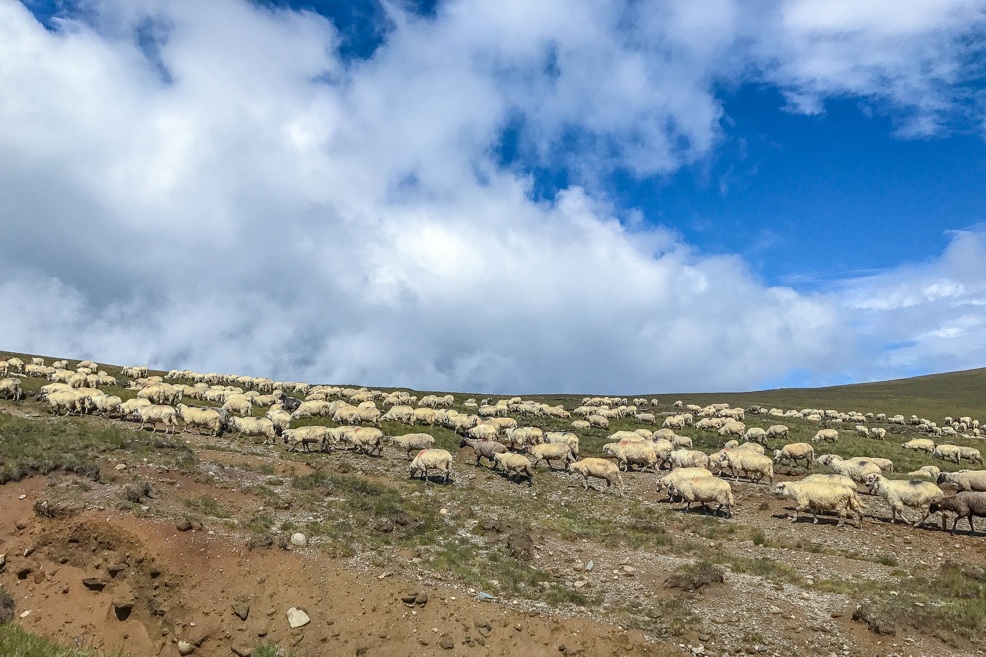 Путешествие в Румынию | Часть 4/4. Фотограф Дмитрий Питерский
