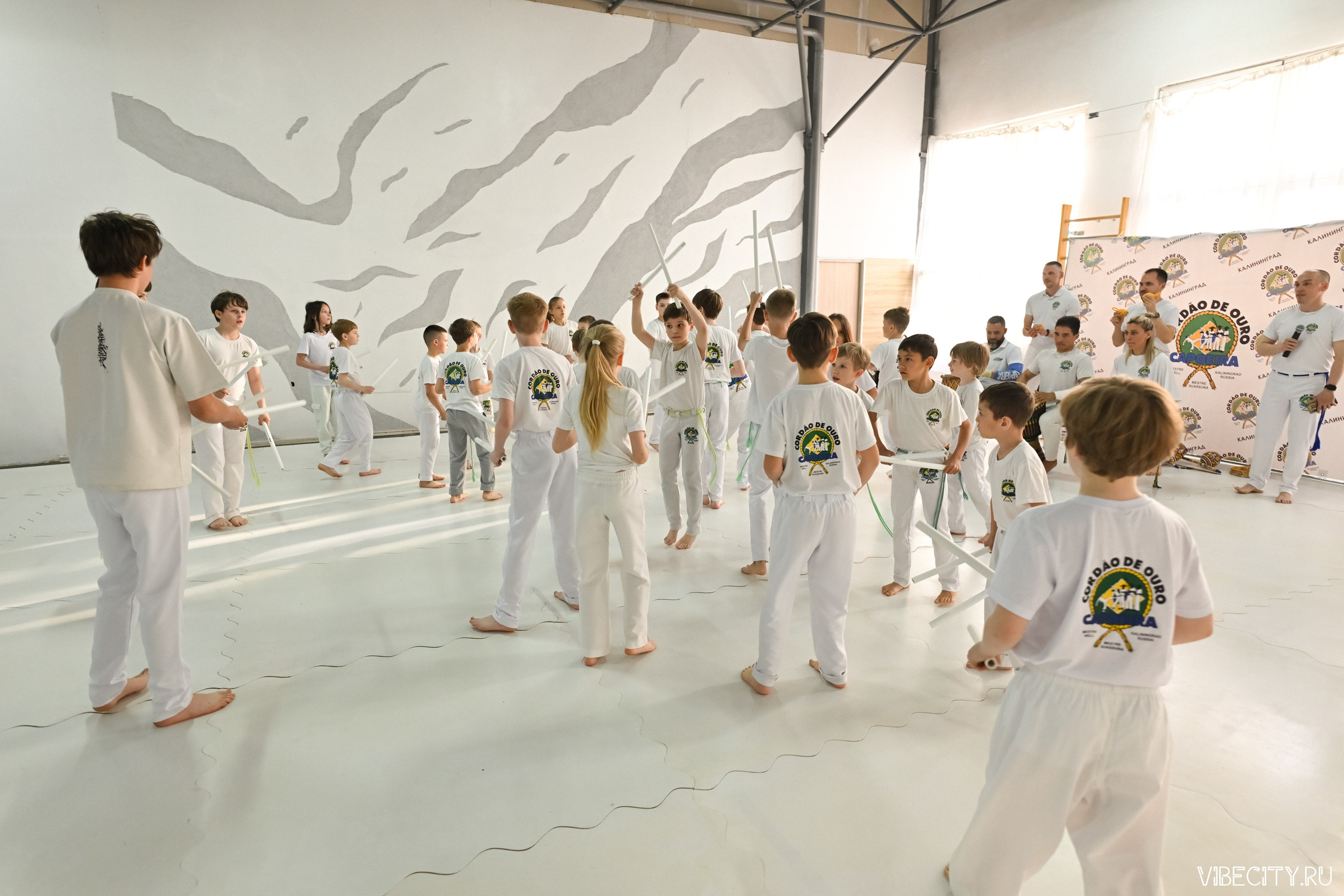 Capoeira: 4-е batizado e Troca de cordao. VIBECITY.RU Вайб Сити Ру Фоторепортажи Фотоотчеты Калининград