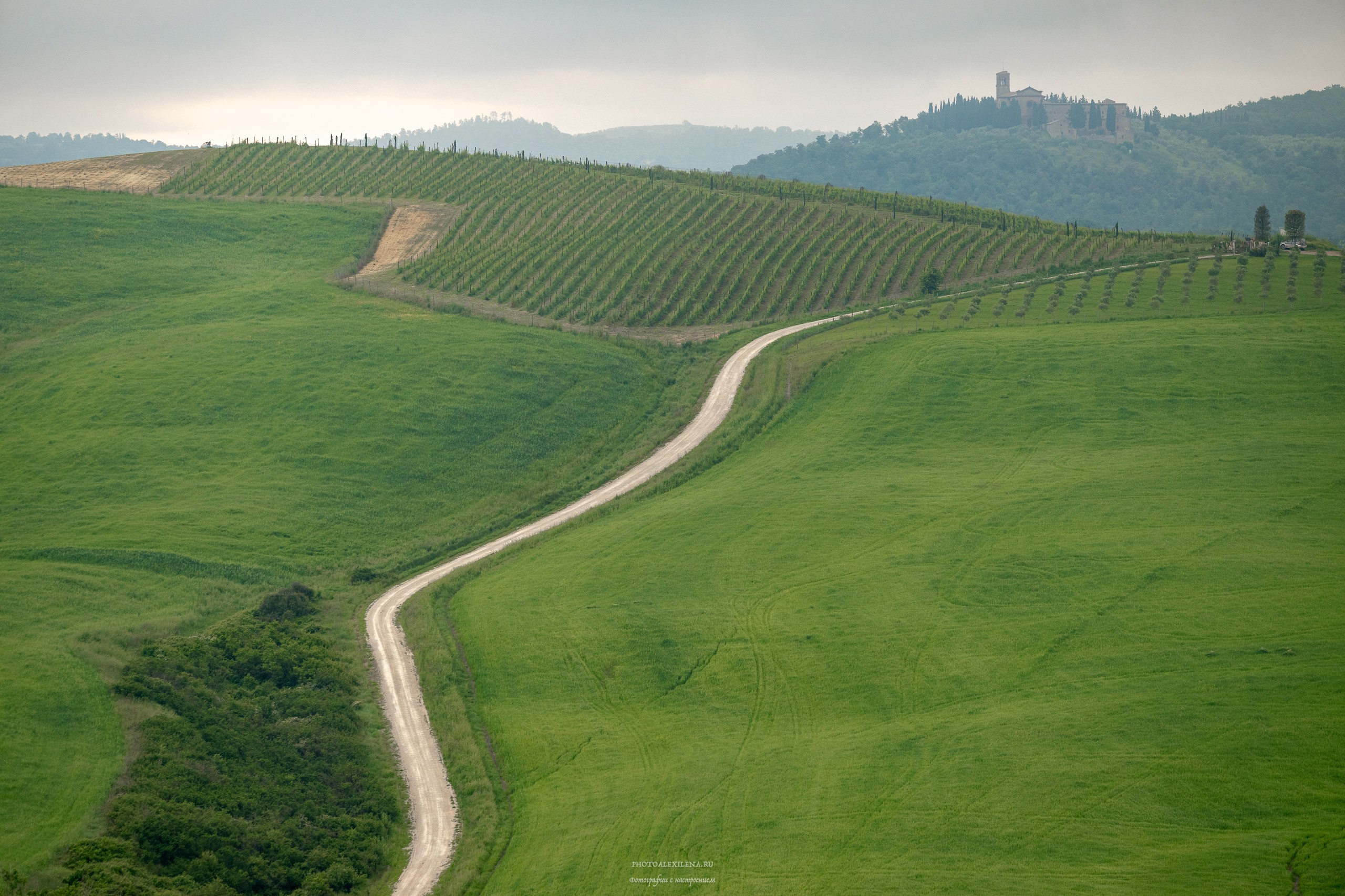 Долина Крете Сенези (Crete Senesi). Авторские стильные фотокартины
