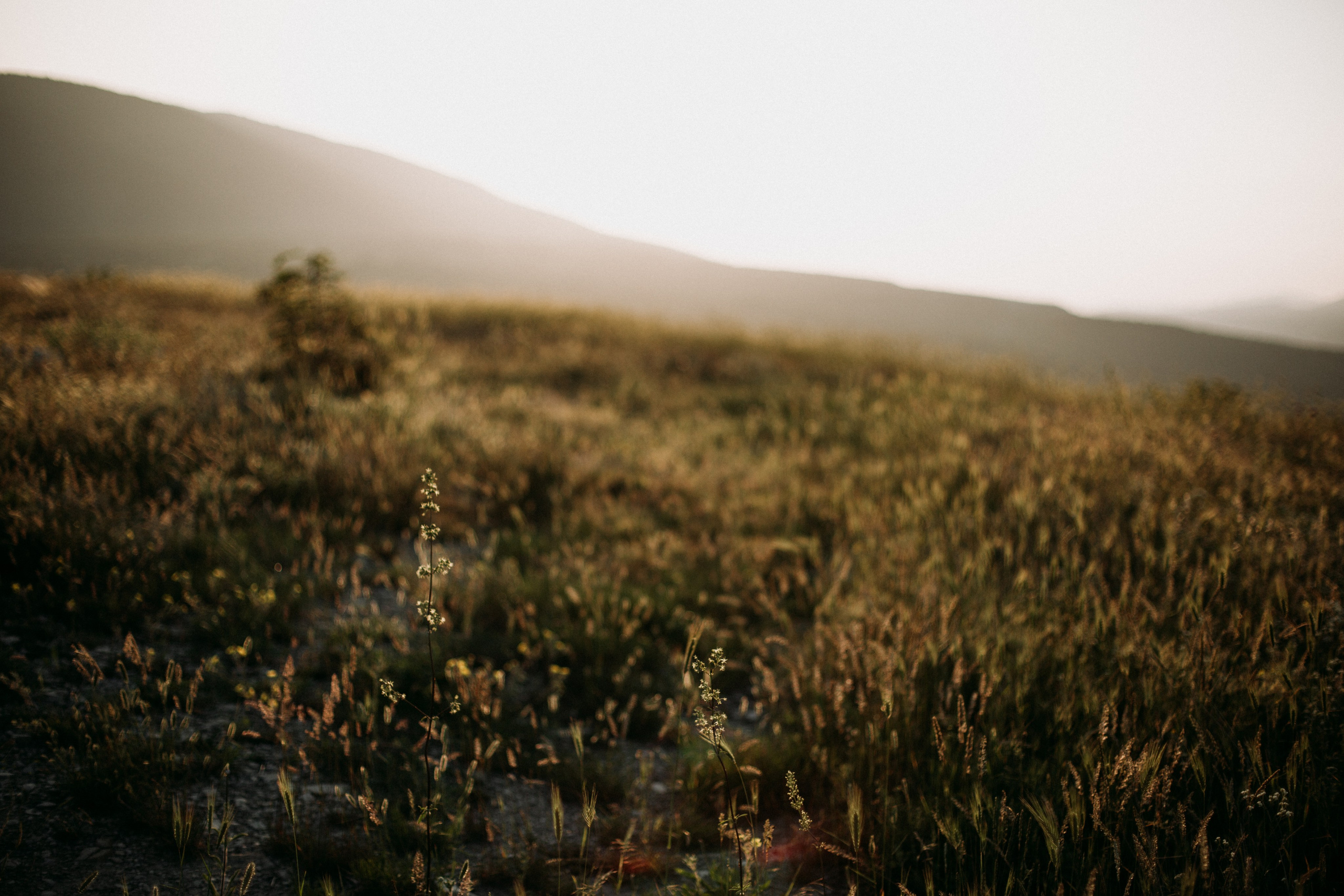 Дороги земли ветров. Портретный фотограф в Москве и Геленджике Кирилл Вахитов