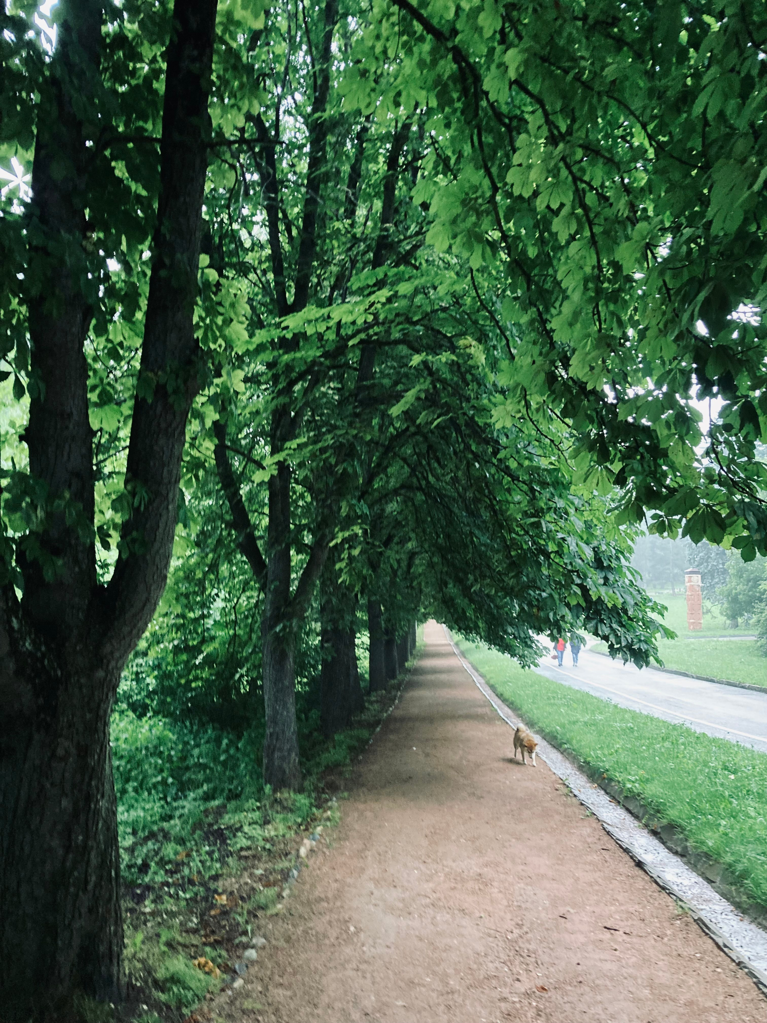 Кисловодск. Смотри, красота!