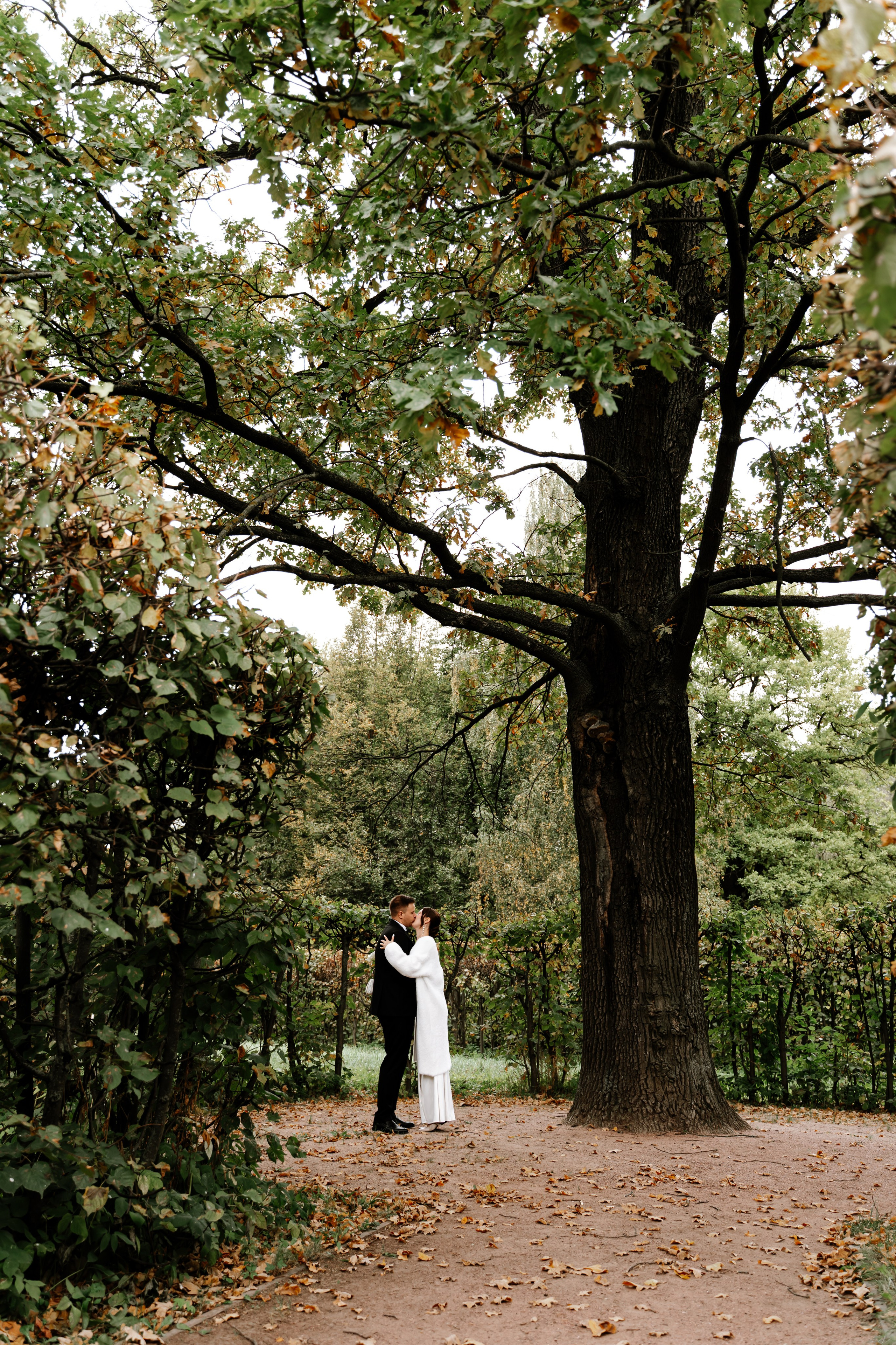 Александр и Елена. Фотограф Елизавета Савина