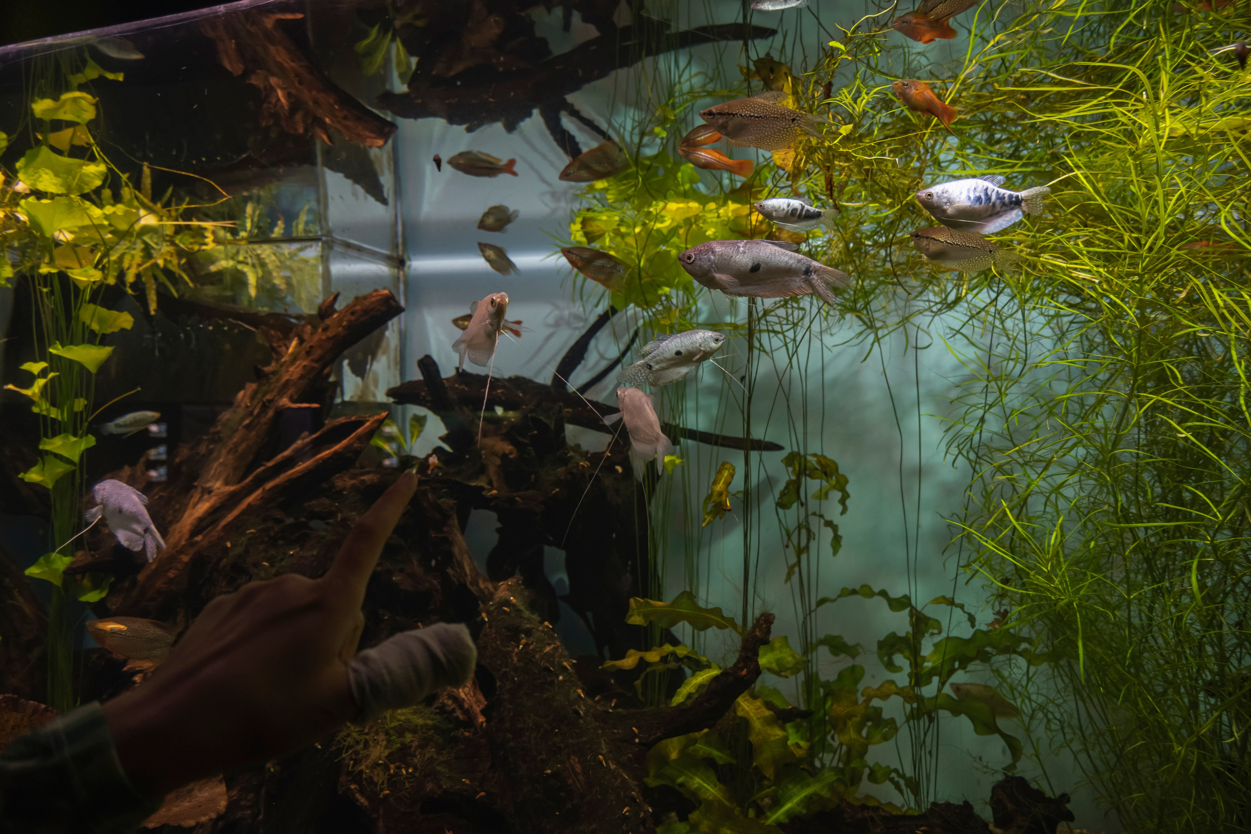 Москвариум. Фотограф Роман Адлер