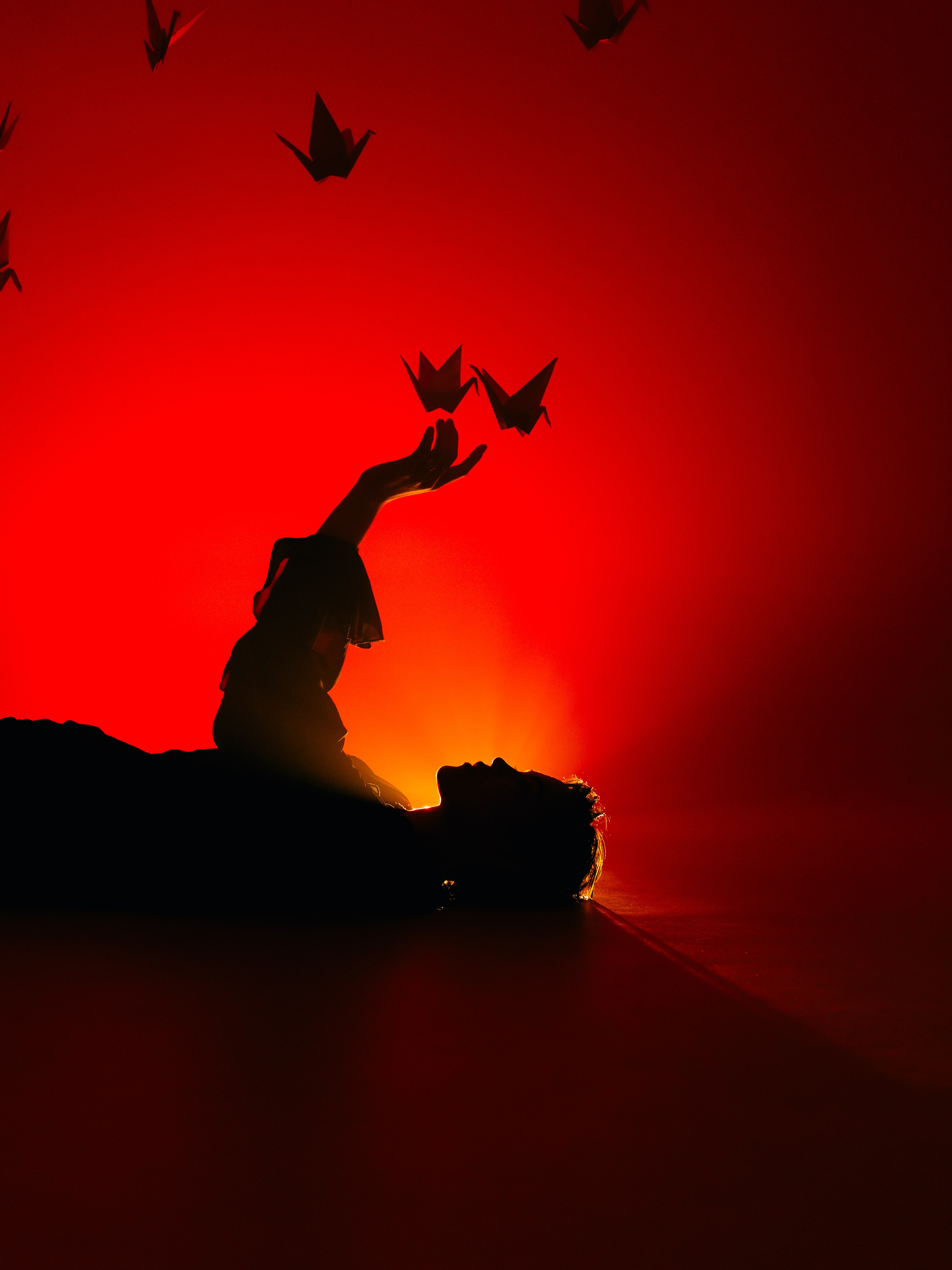 «Тени Киото»