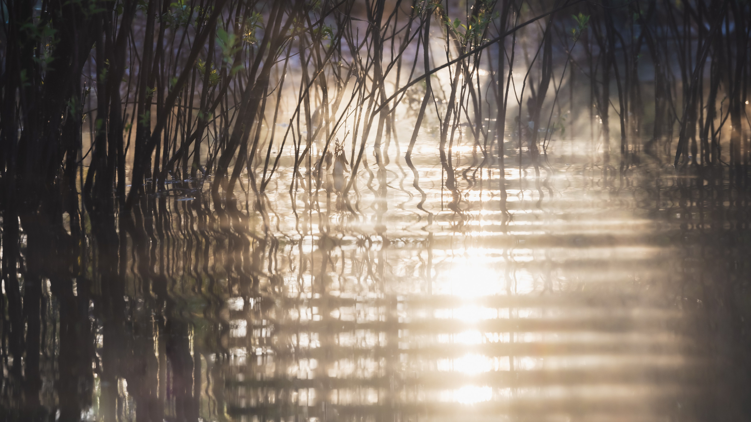 Репортажный фотограф Владимир Беляй