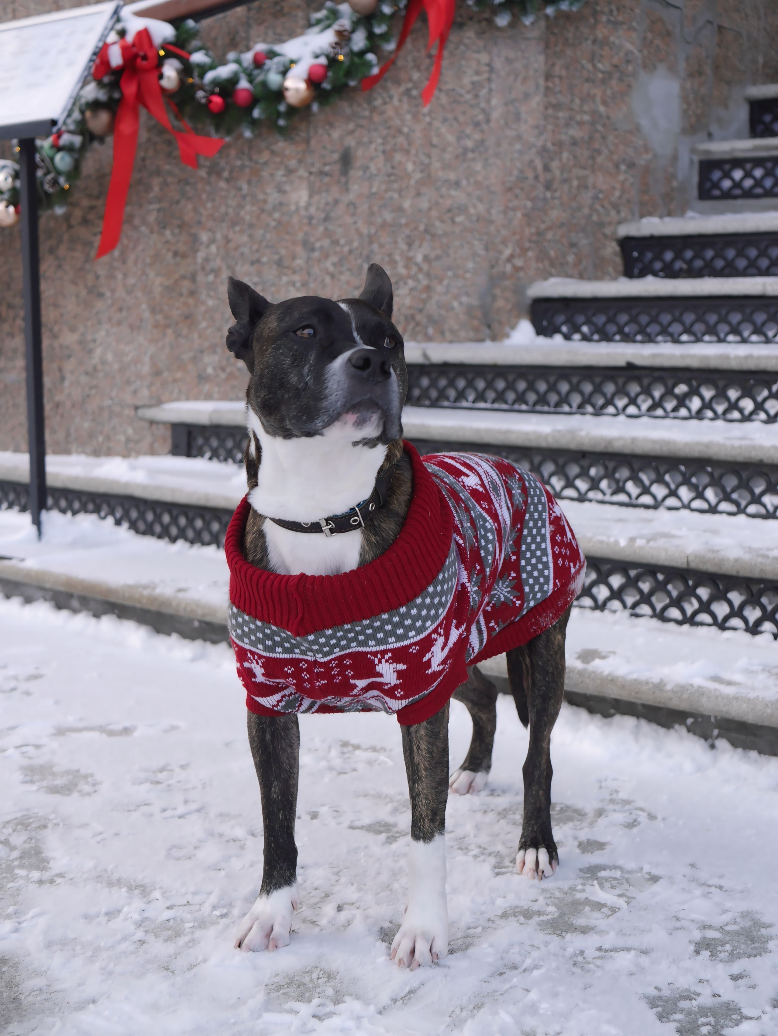 Анастасия и Арчи