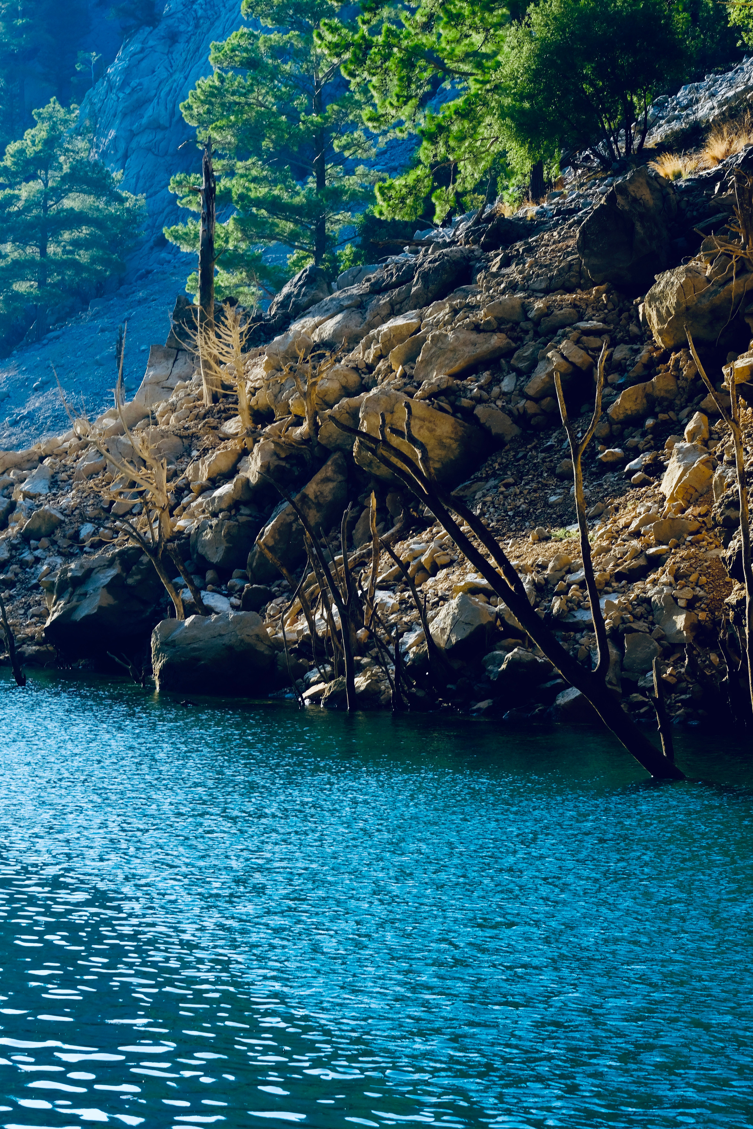 Фотосессия Ани и Серёжи. Фотограф в Москве Ирина Иванова