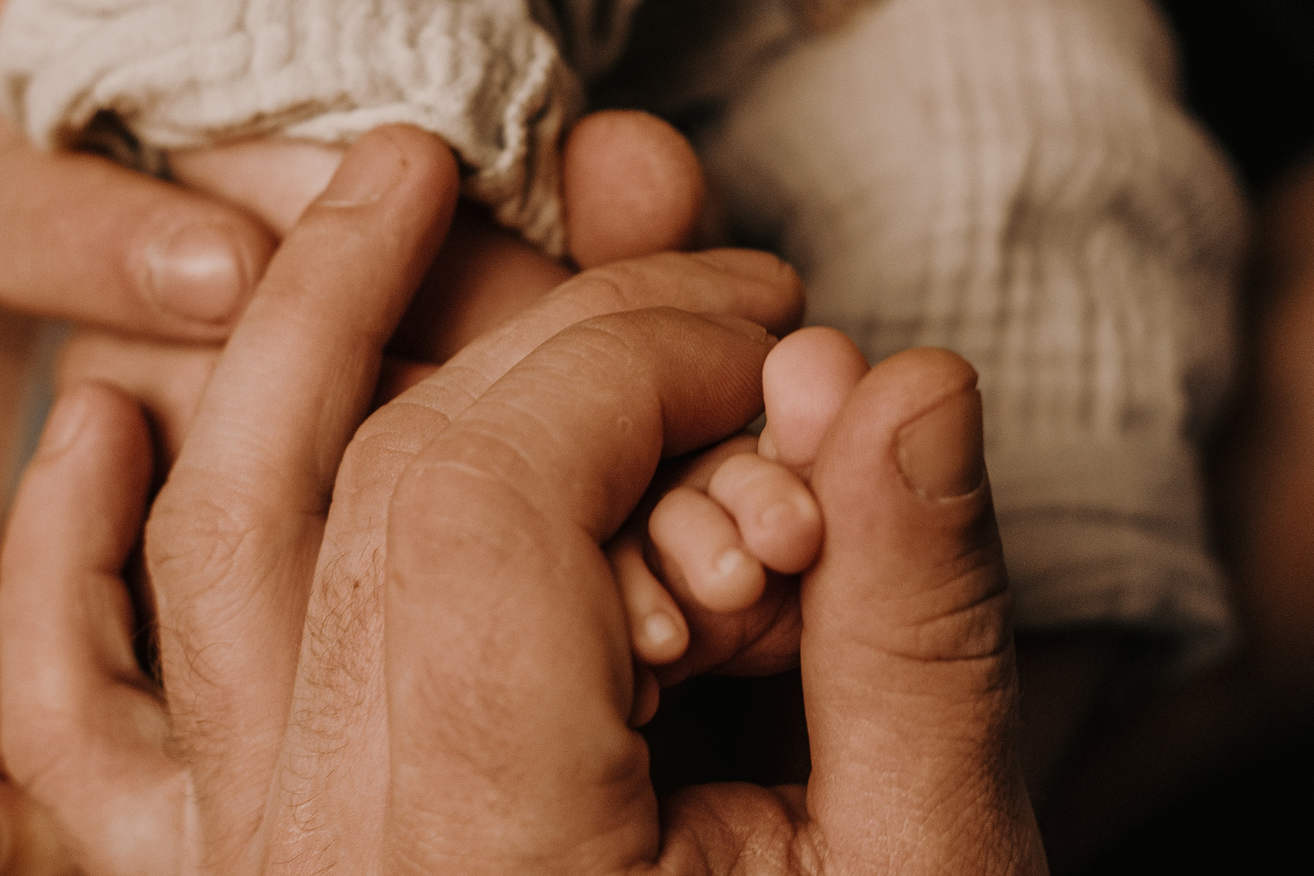 Новогодние. Арт-фотограф Крис Л. в Тобольске: портрет, семейные, свадьбы