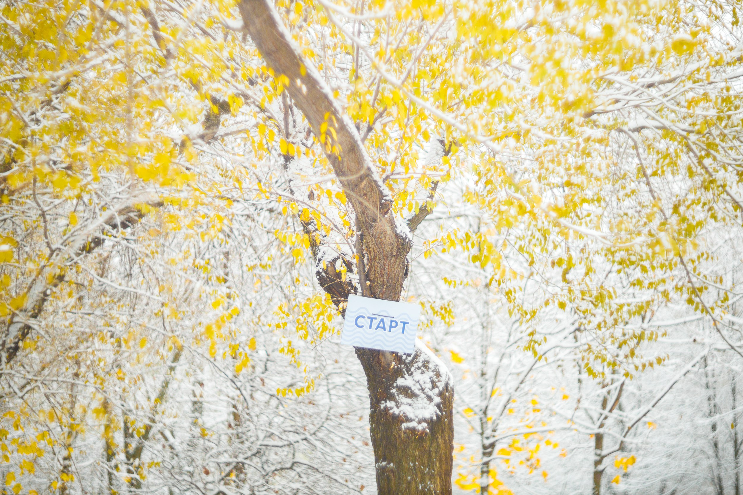 Серия «Цвет переосмыслений». Фотограф в Москве Татьяна Макотра