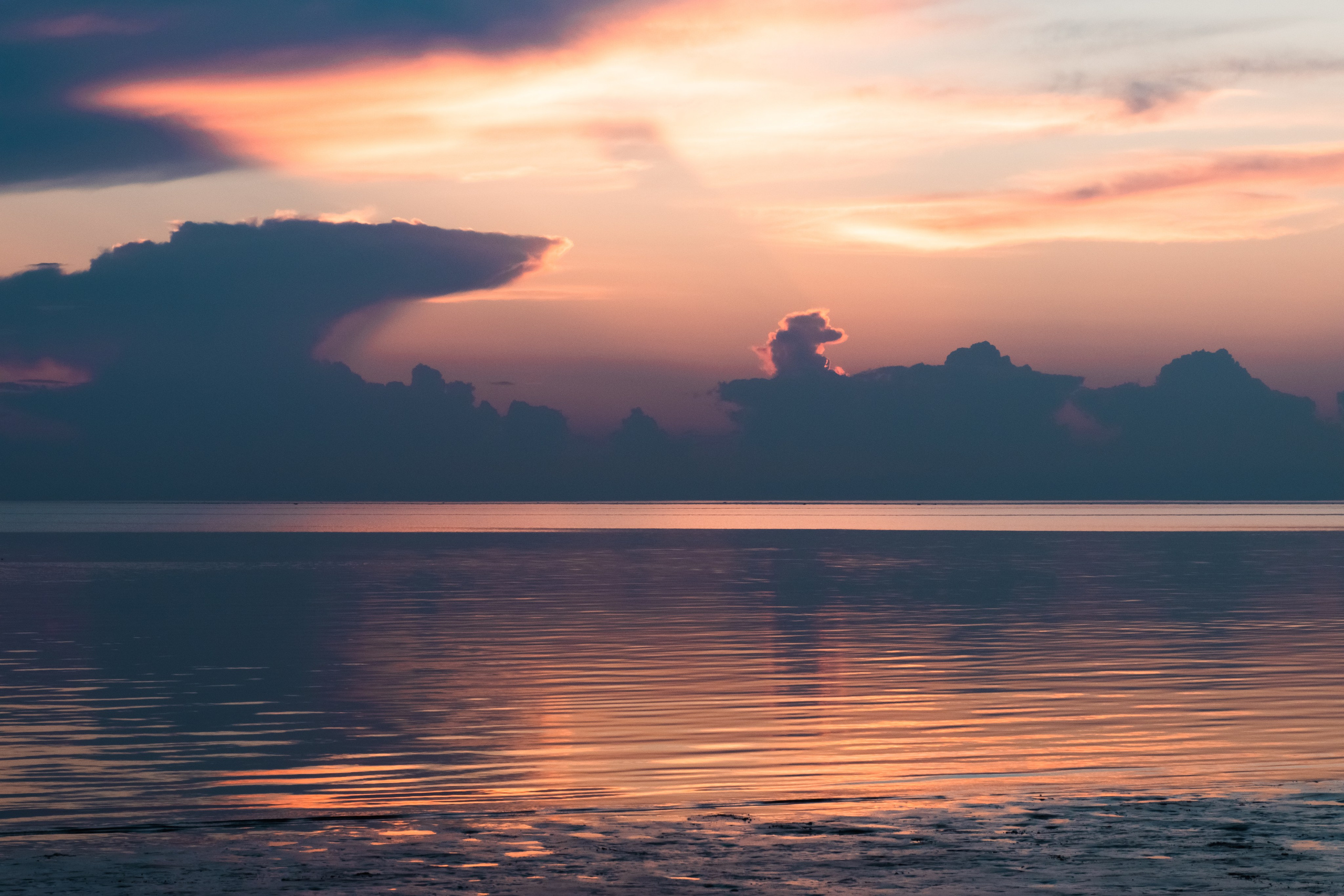 Архангельская область, Двинская губа. Фотограф в Москве Максим Скоробогатов