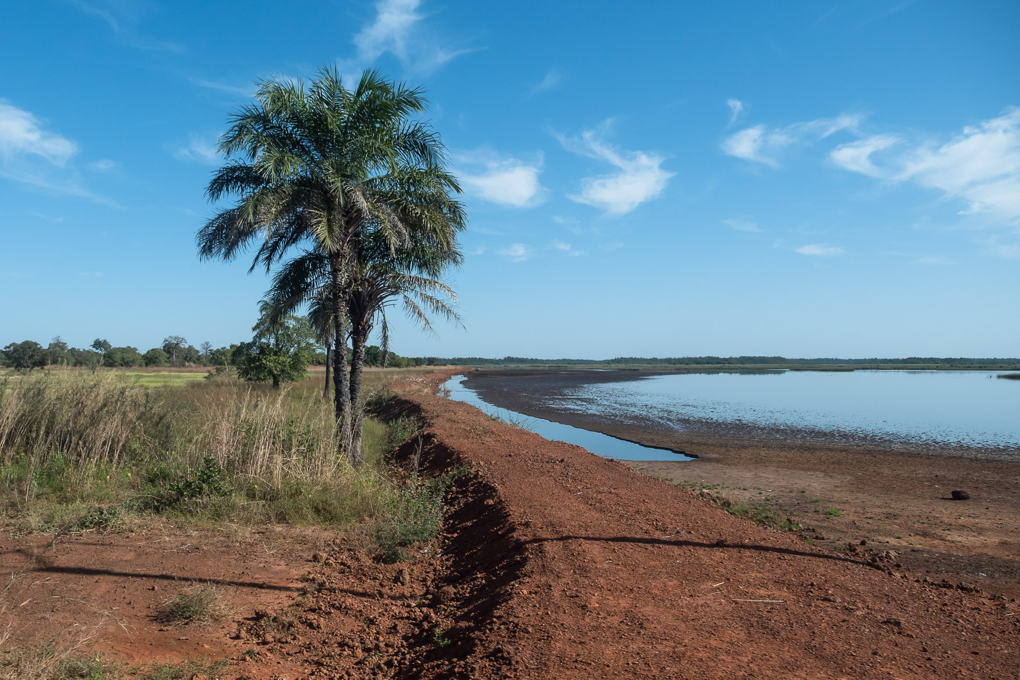 Путешествие по Гамбии (Западная Африка).Traveling in Gambia (West Africa.). Фотограф Алексей Скоробогатько