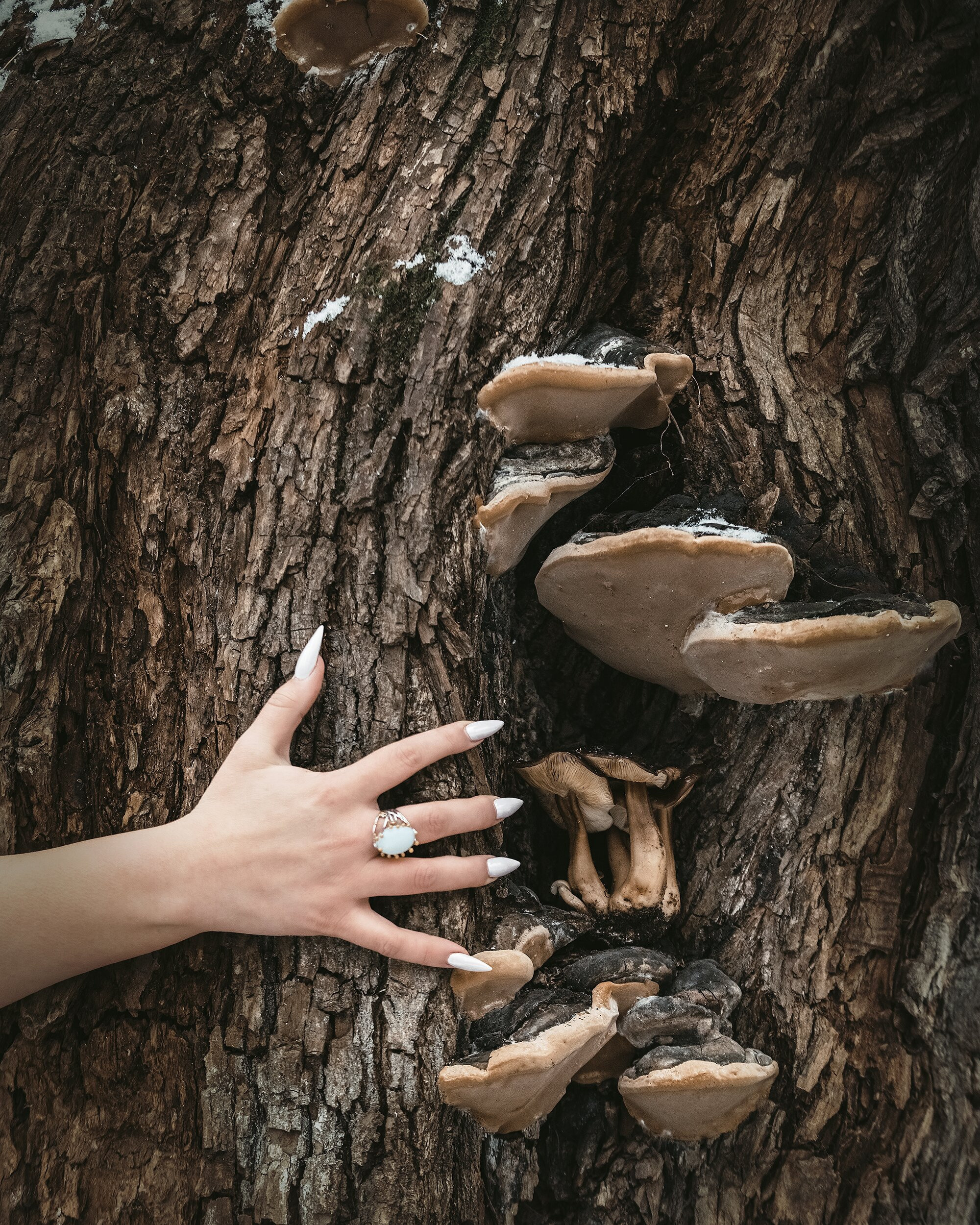 Аня, серия «Mushroom elf». Коваленко Светлана, фотограф в Москве. Концерты, события и люди