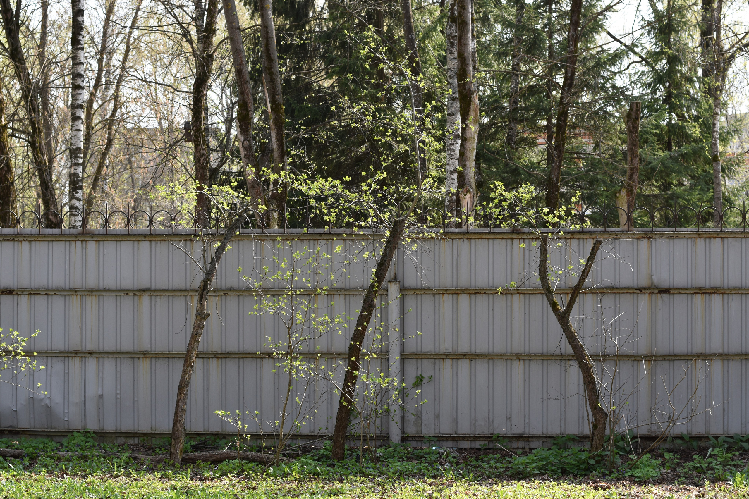 Добрый садовник (в процессе). Микс-медиа художница Надежда Пророкова