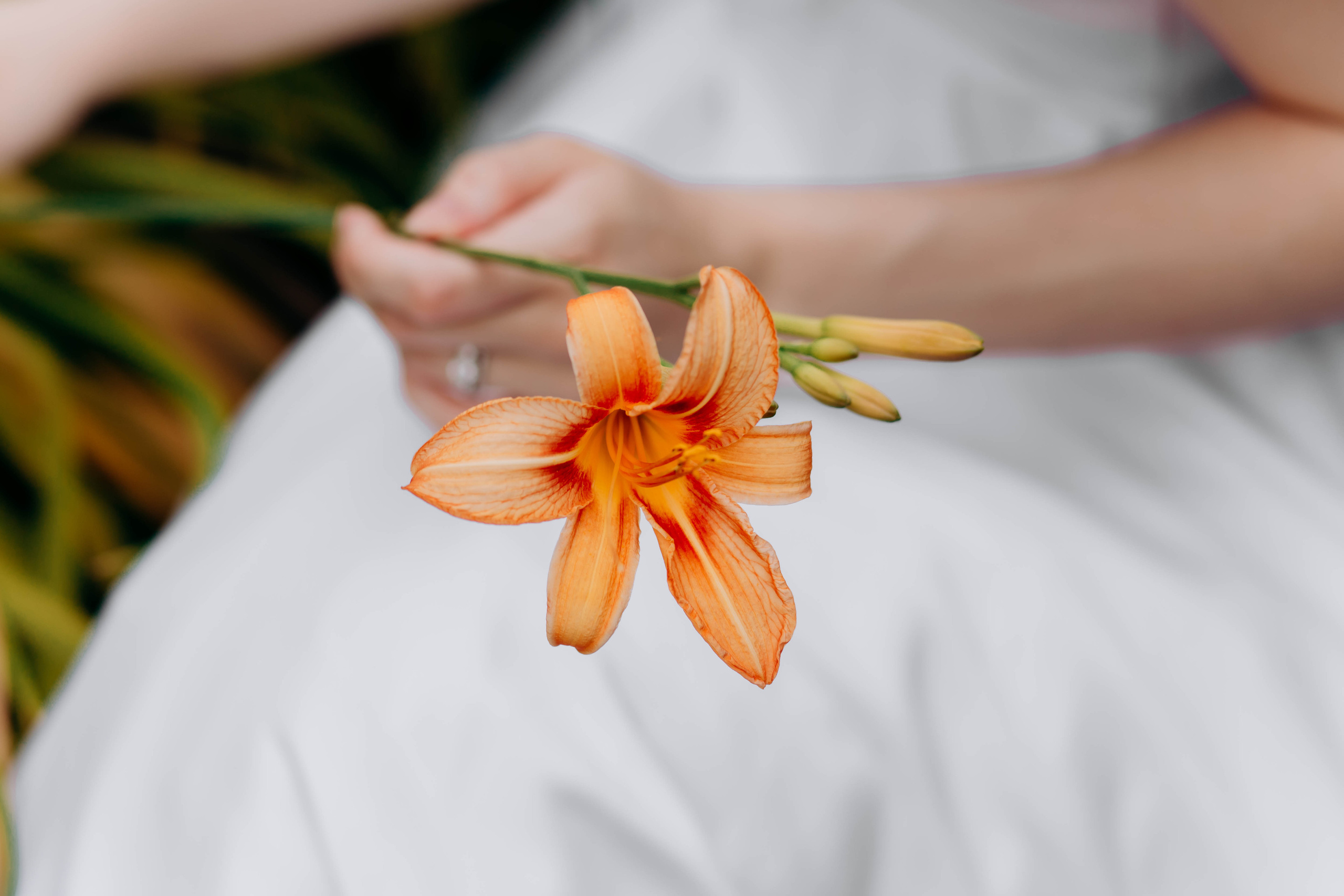 • Светлана & Павел •. Семейный и свадебный фотограф в Воронеже Майя Добровольская