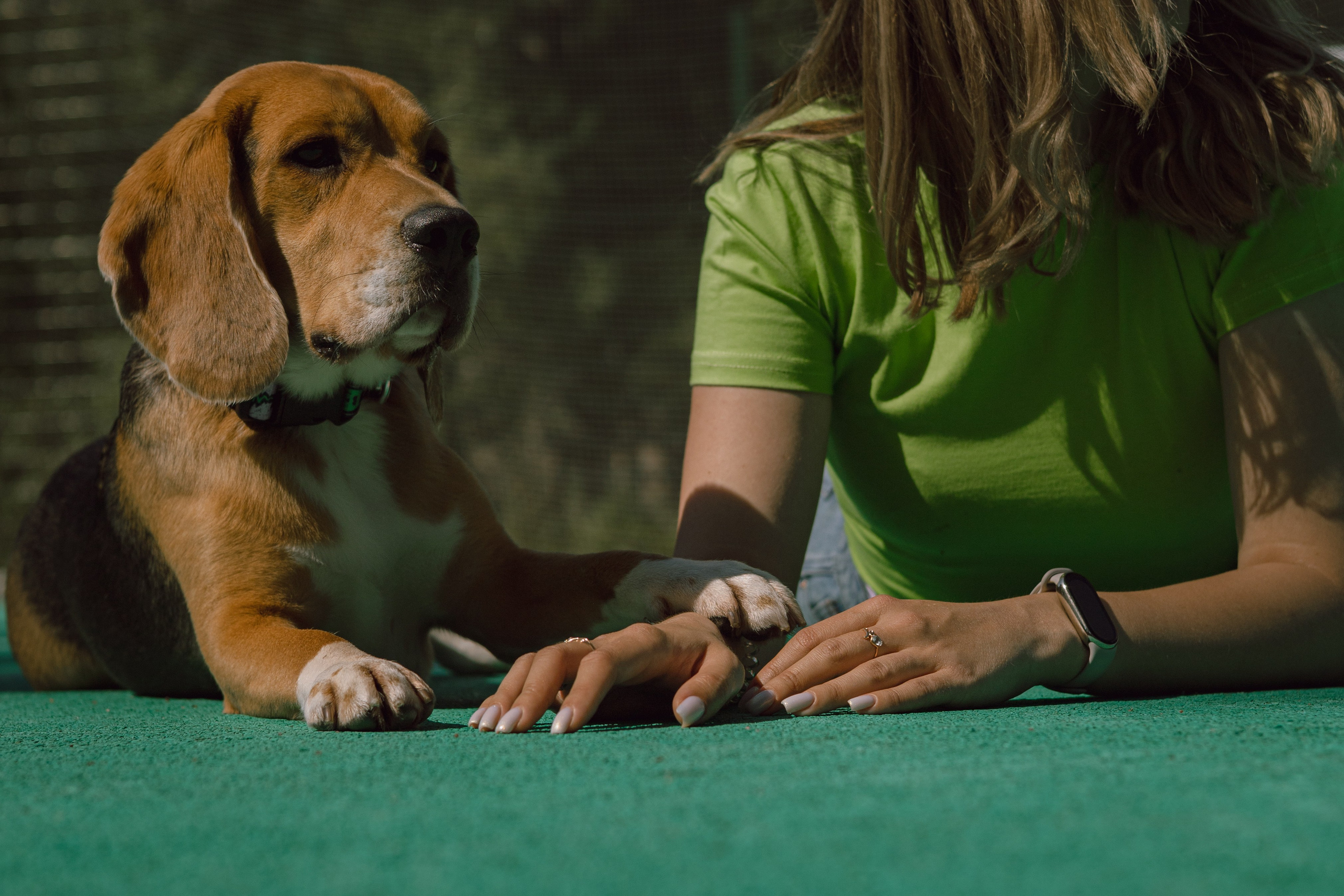 Катя и Оуджи. Фотограф — анималист •love-story•|Санкт-Петербург