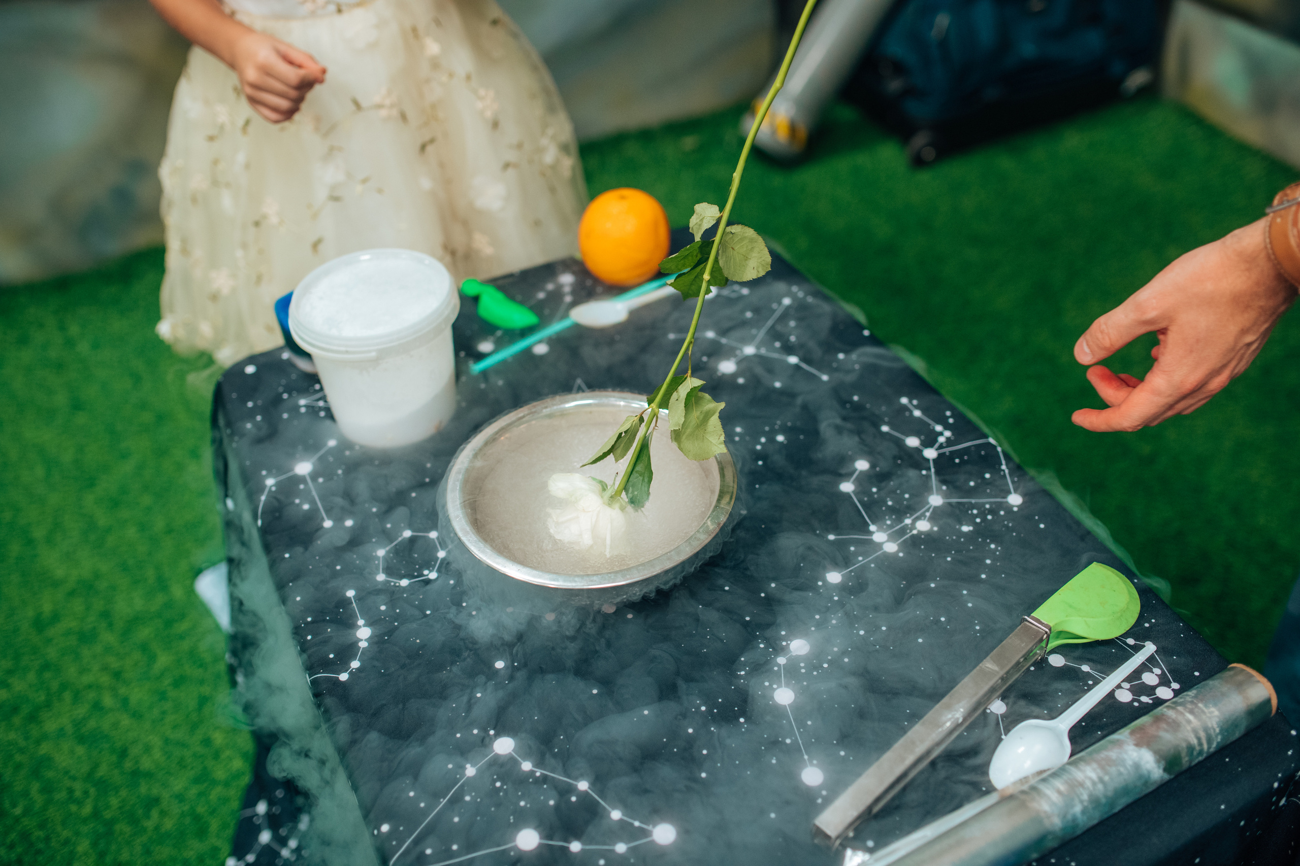 Шоу. Семейный Центр Развлечений в Щелково