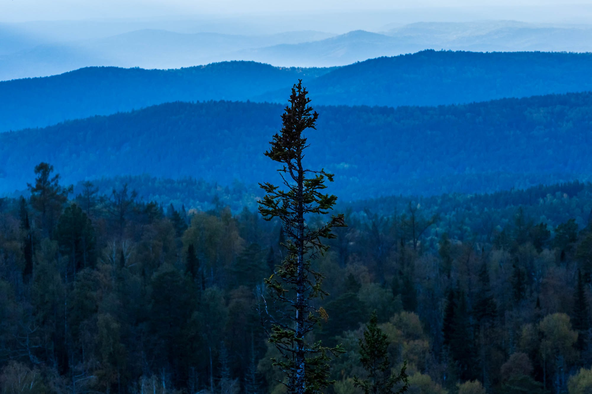 Закатная симфония, воспевающая тайну красоты «Красноярских столбов». Фотограф в Москве Татьяна Макотра