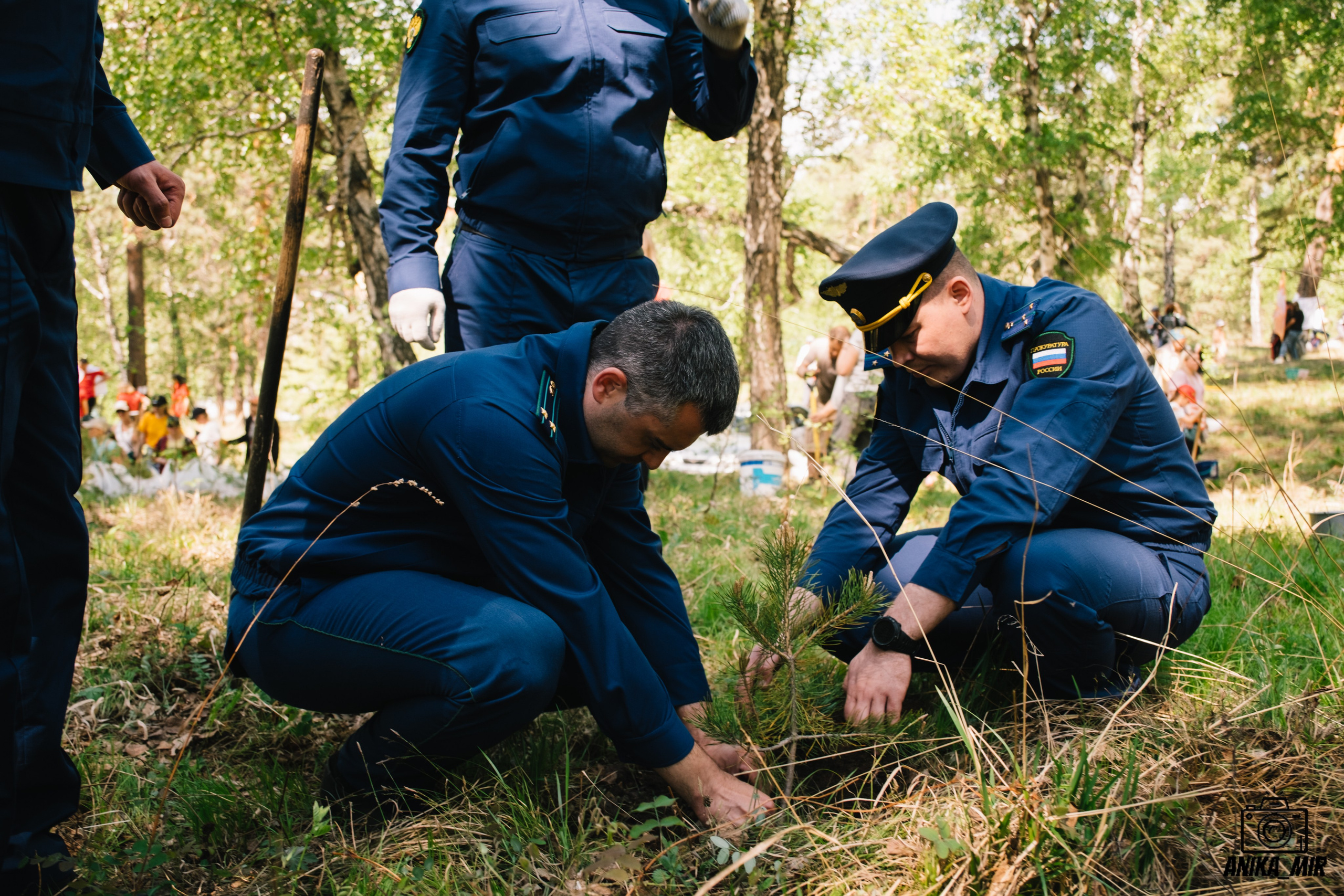 Посади дерево. Подари планете жизнь. Фотограф в Иркутске Анна Мирошникова