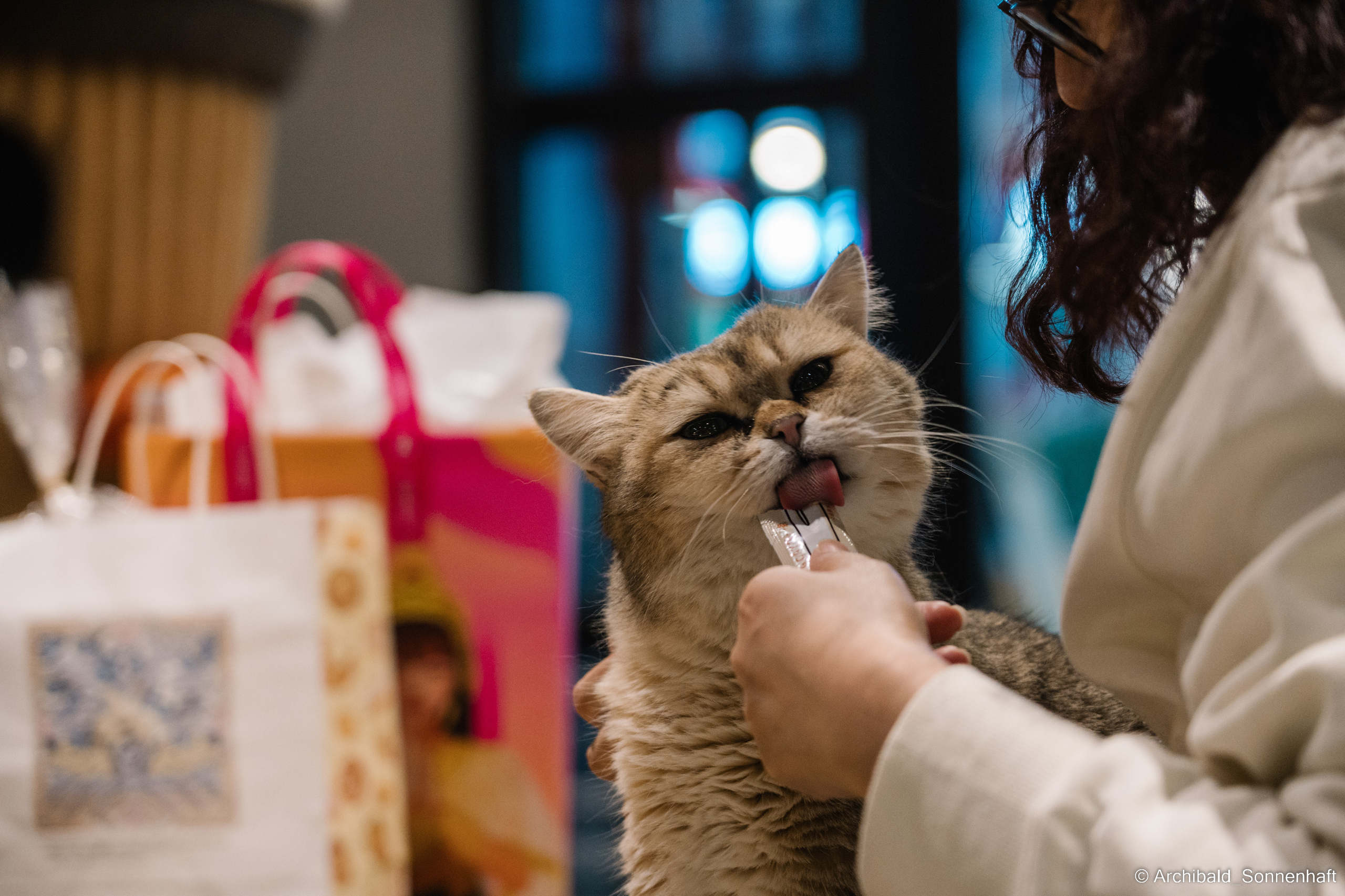 Catfe. Photographer in Guangzhou, China. Archibald Sonnenhaft