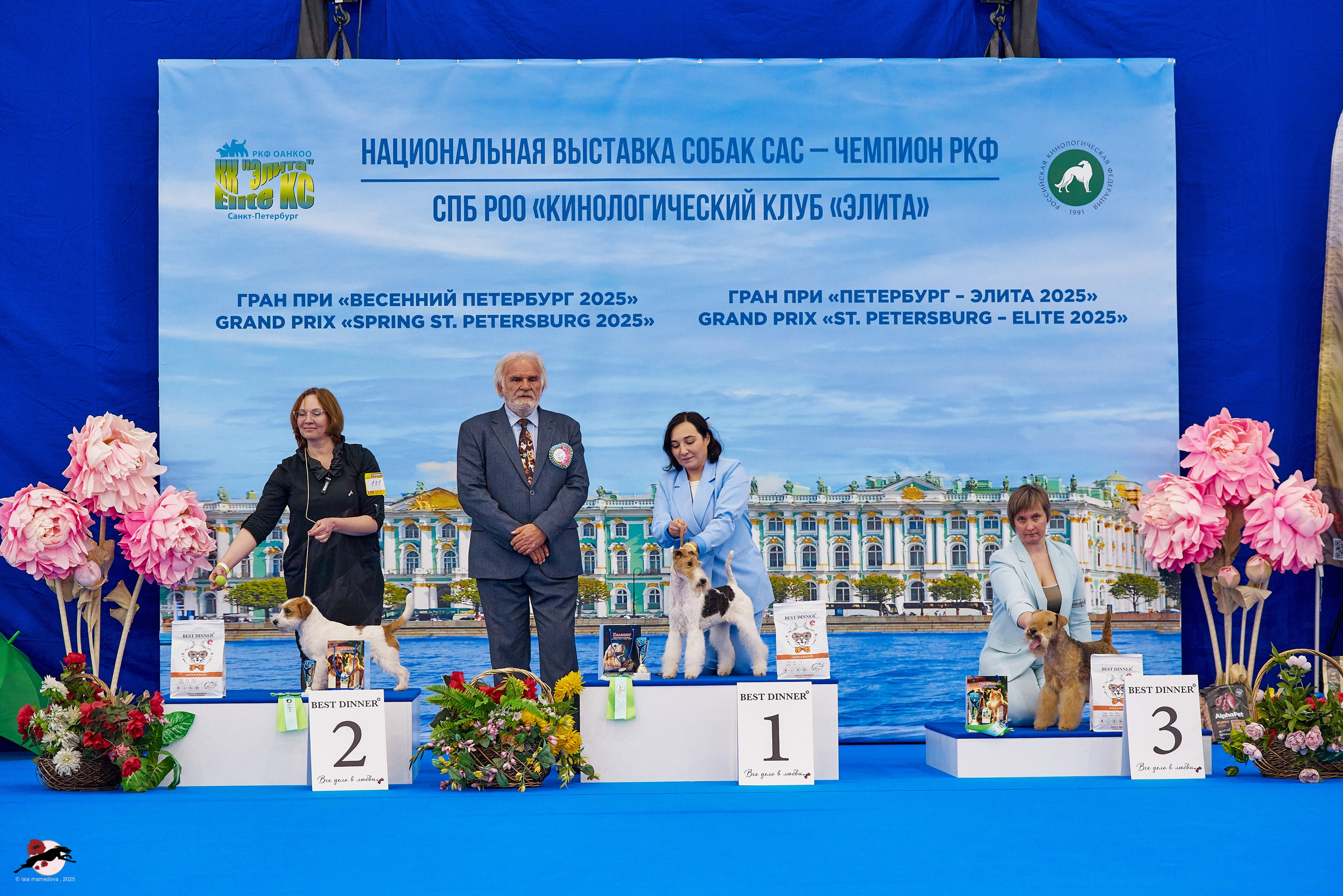 ГРАН ПРИ «ВЕСЕННИЙ ПЕТЕРБУРГ» & «СУПЕР КУБОК «ЭЛИТЫ»-2025»