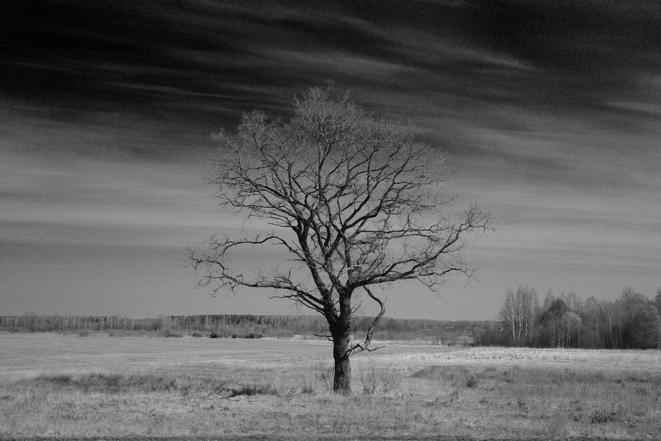 Круг жизни. Главная