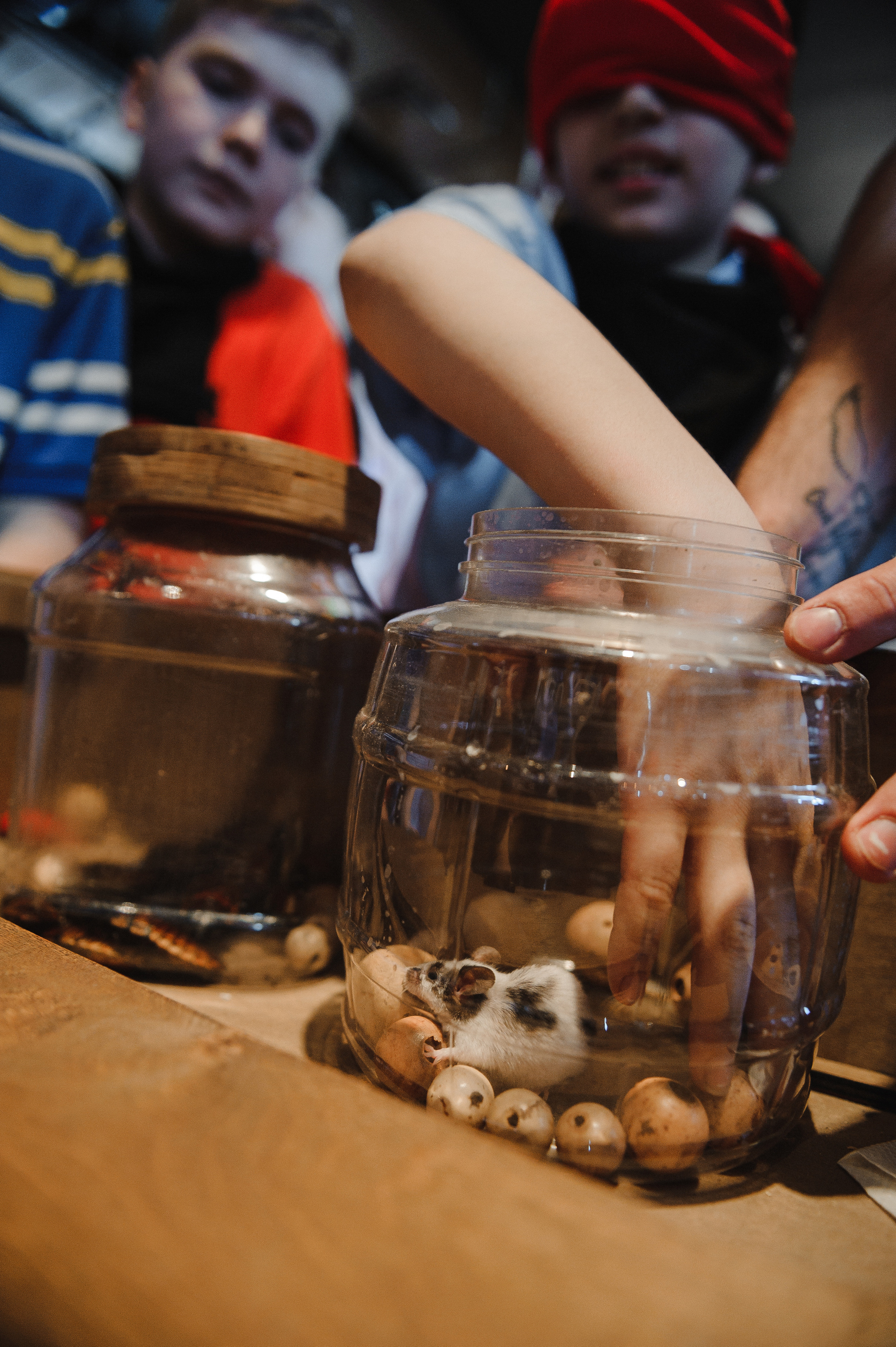 Форт Боярд. Окончание 4 класса. Анонс. Свадебный фотограф в Москве Алексей Тук