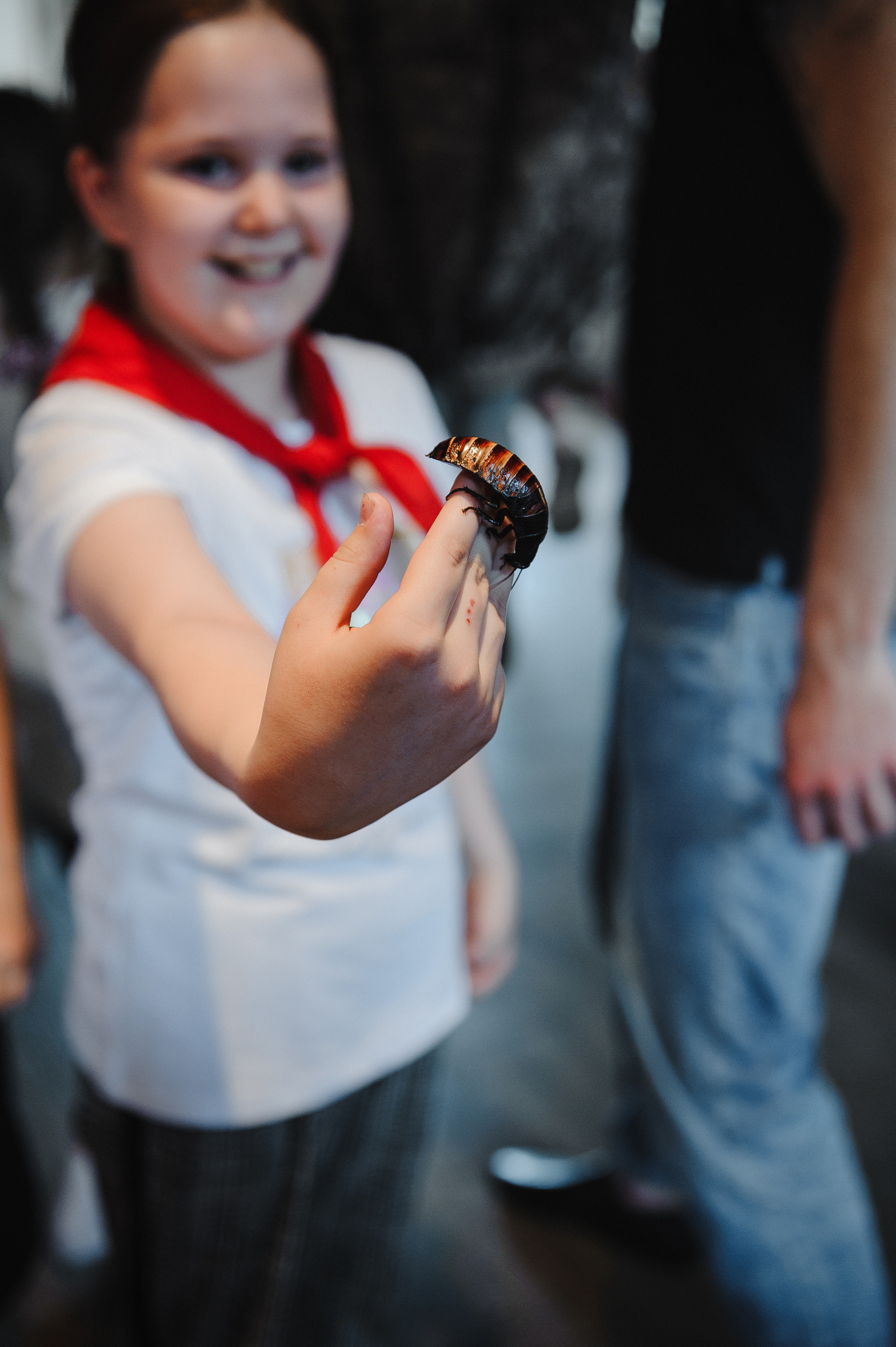 Форт Боярд. Окончание 4 класса. Анонс. Свадебный фотограф в Москве Алексей Тук
