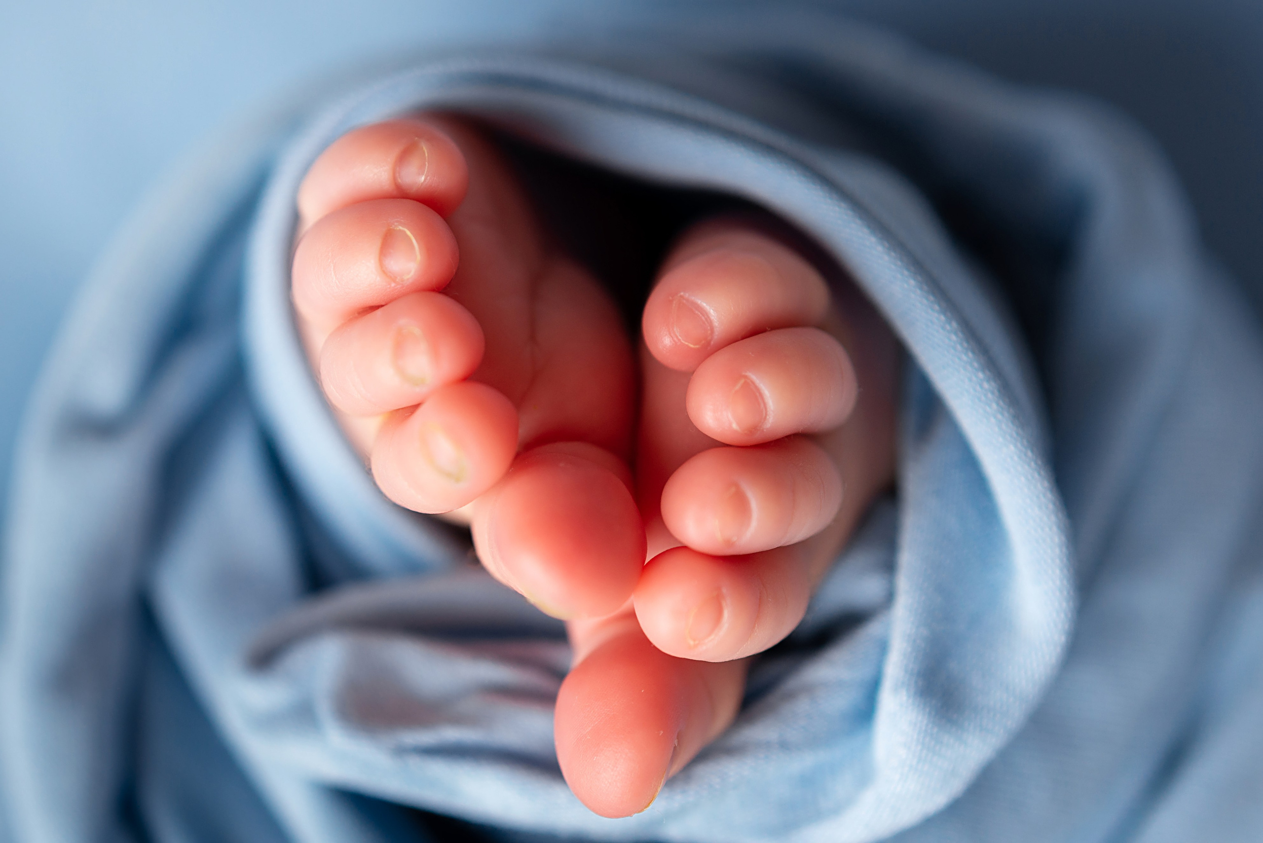 Макрокадры. Детский фотограф новорождённых в Барнауле Ксения Хомкина