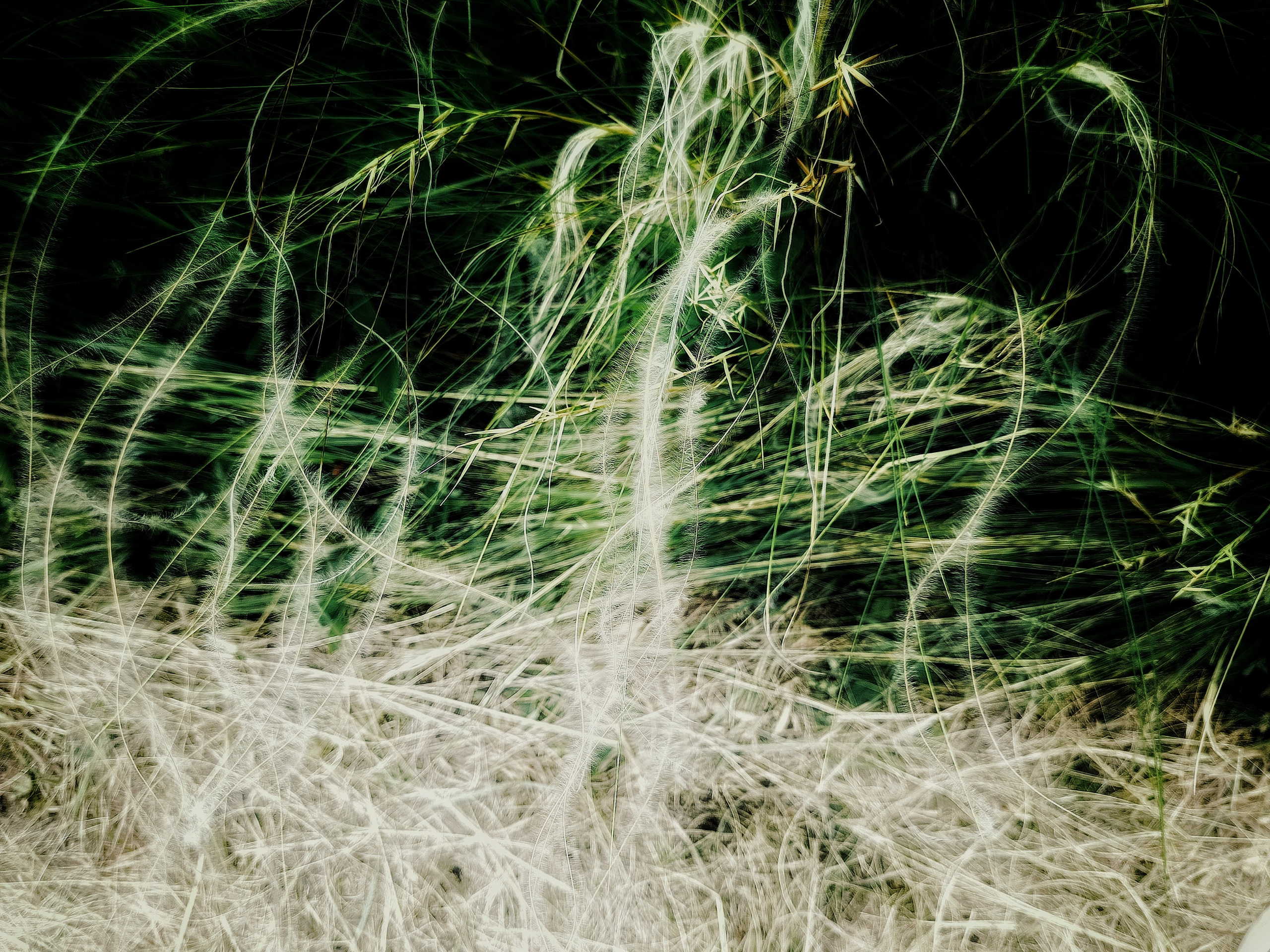 Исчезающие. Фотограф в Самаре Варвара Макарова