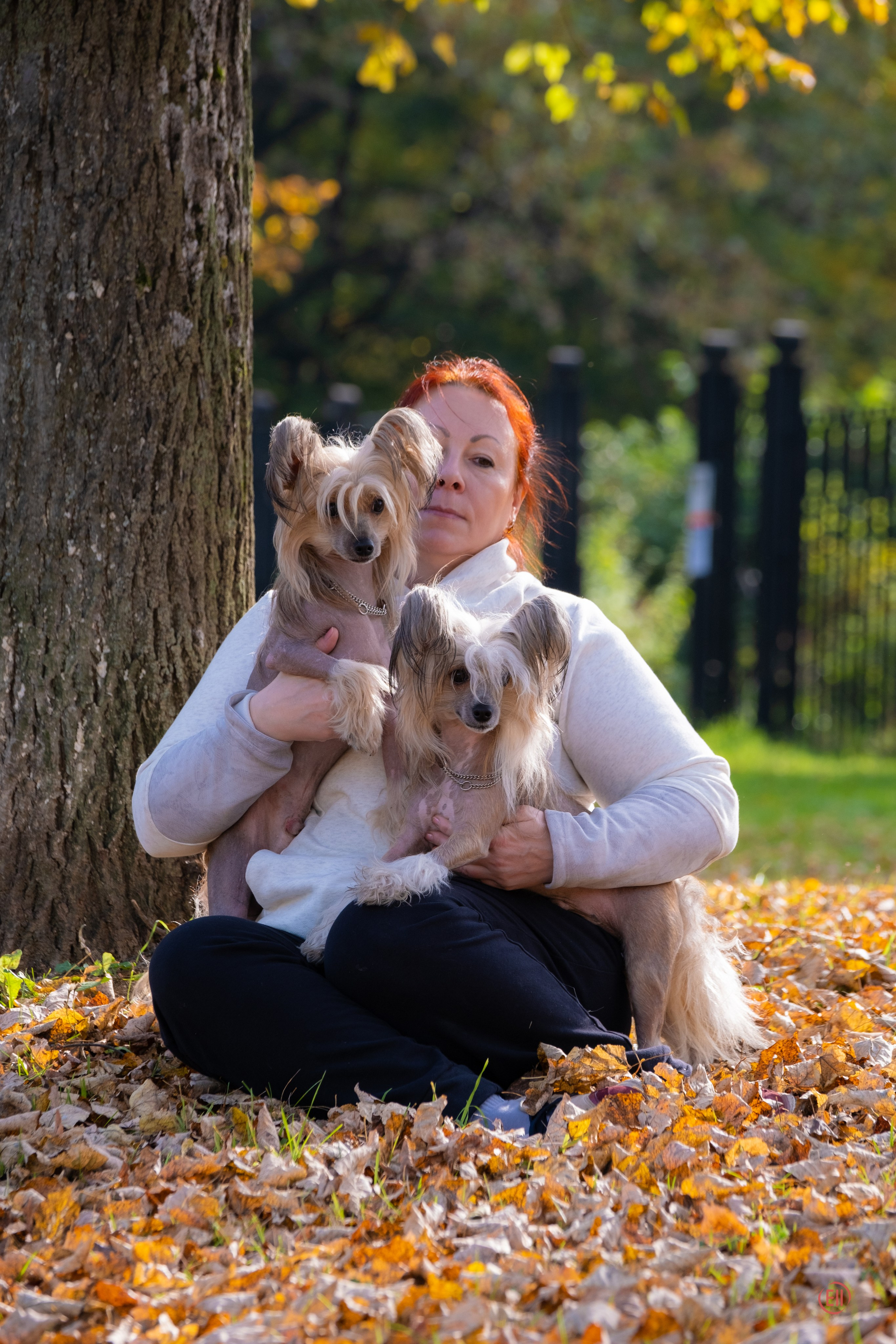 On a walk. Chinese Crested Dog Kennel Poale Ell