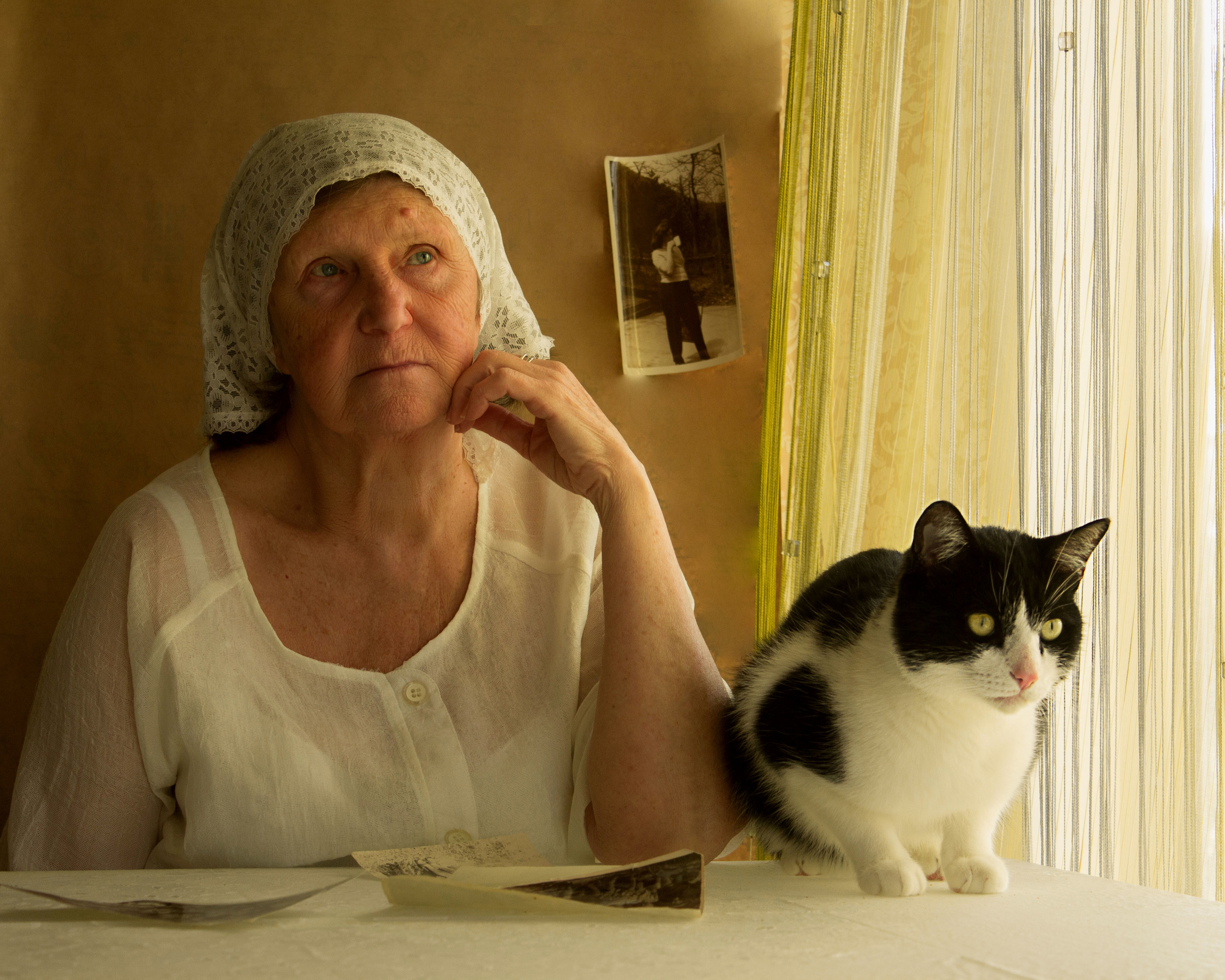 старая женщина сидит за столом с котом и множеством фотографий вокруг