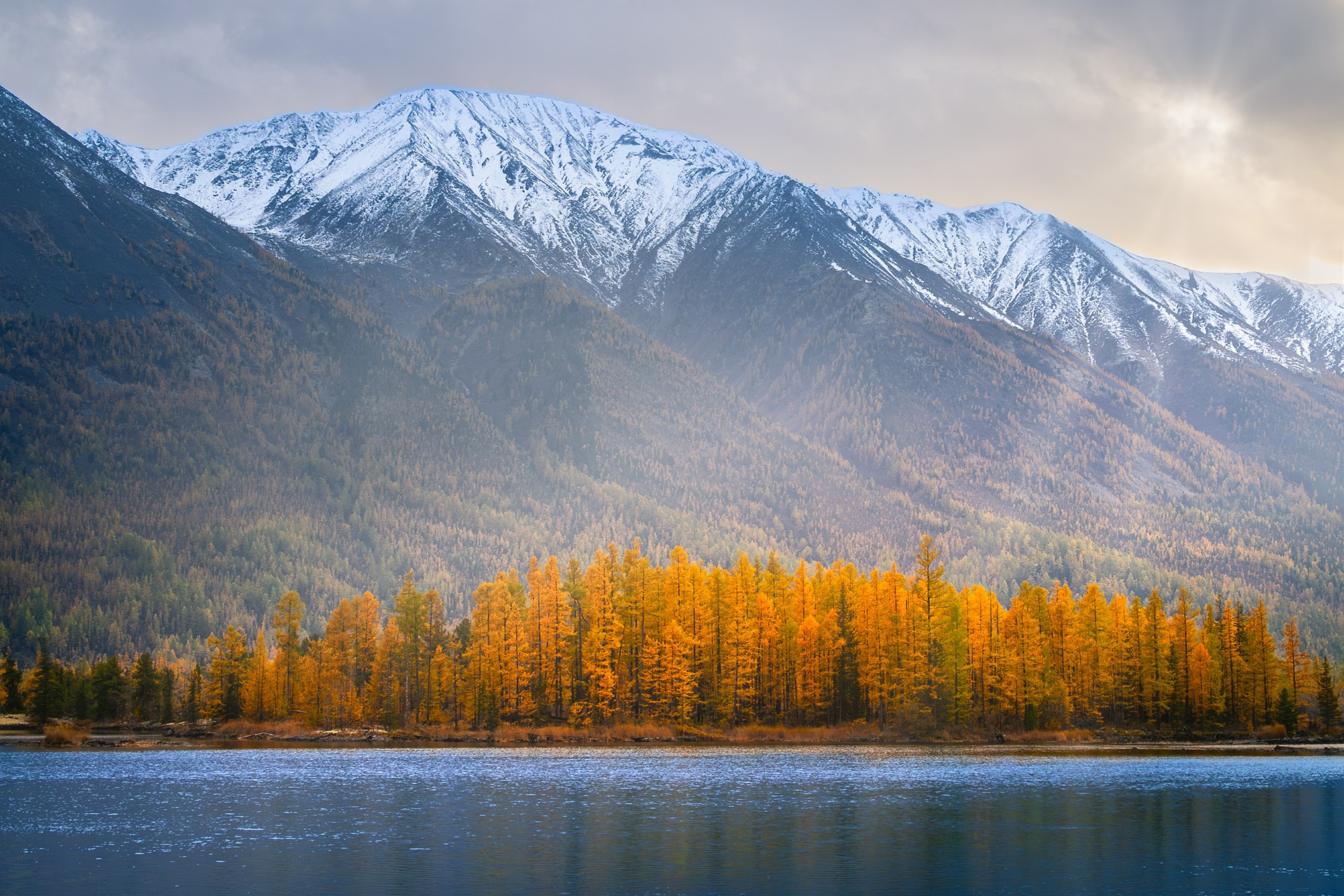 Сибирь. High-quality interior photos for your home, office, hotel