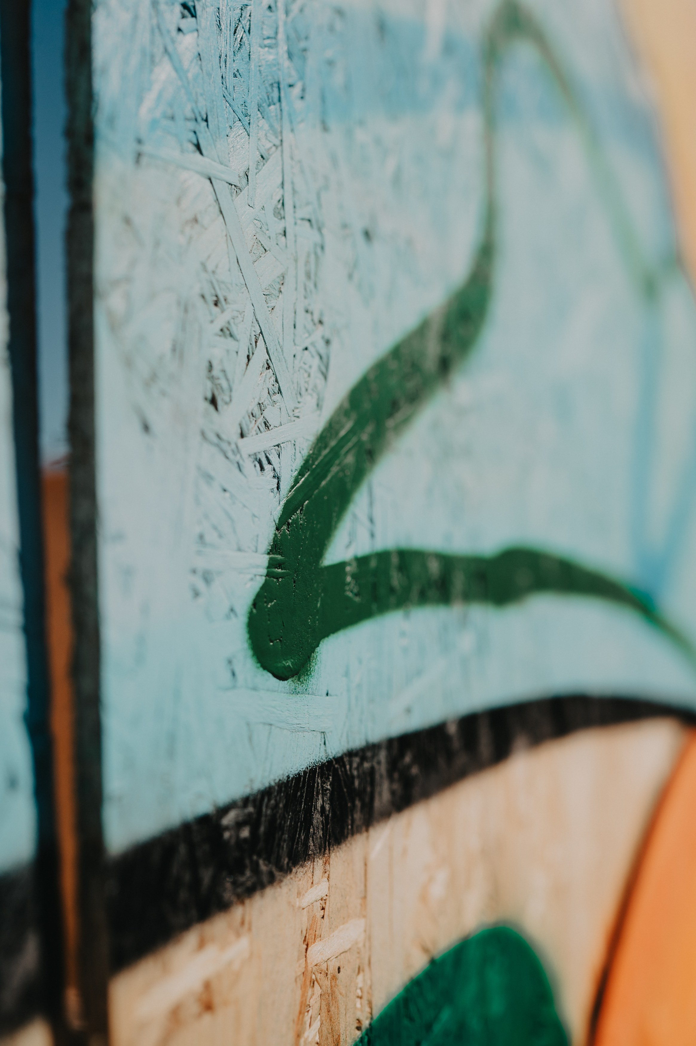 DJ БАТЛ | День молодёжи 2024 | фестиваль «КАРДО». Контент фотограф Илья Урс