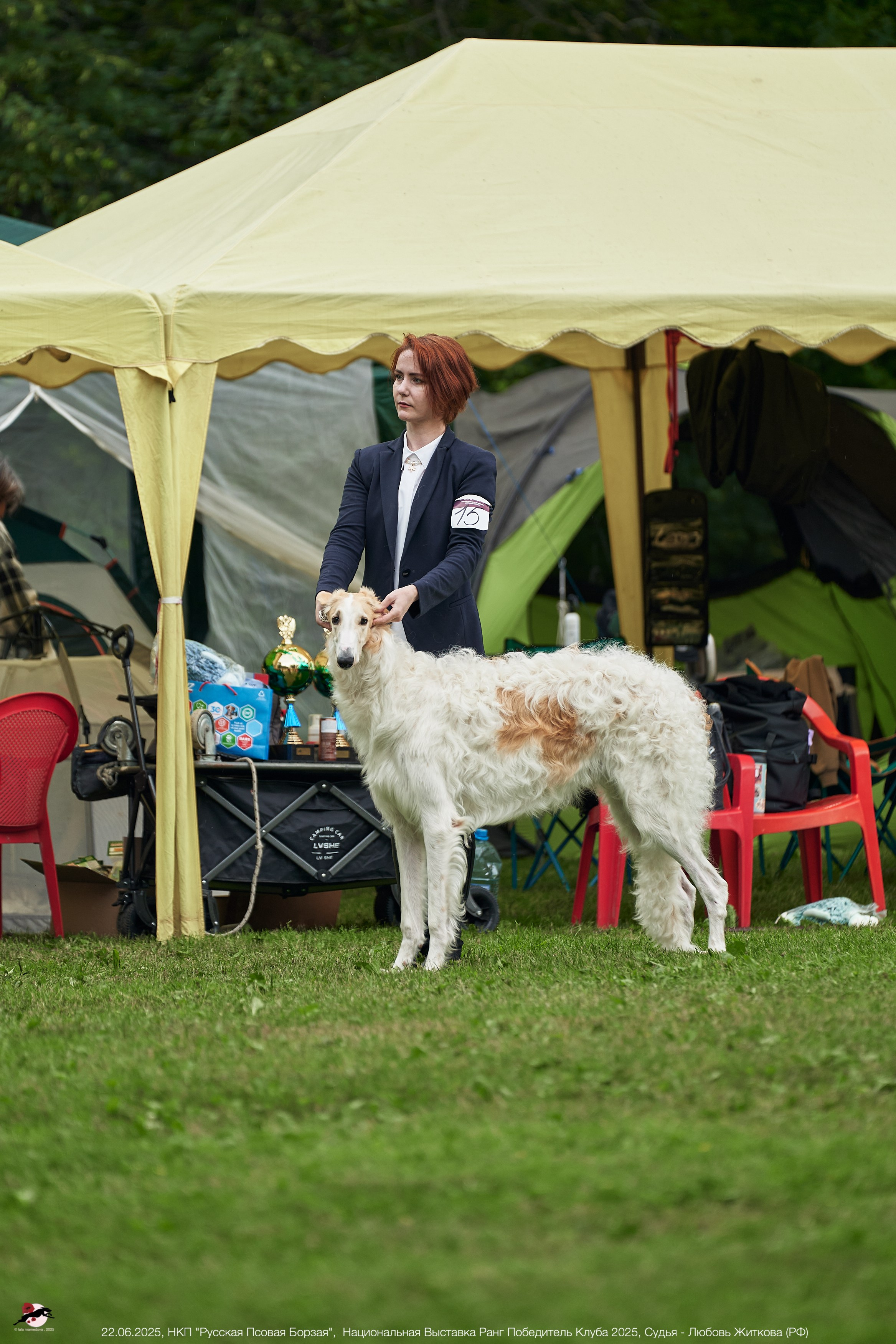 22.06.2025 | Национальная Выставка НКП "Русская Псовая Борзая"