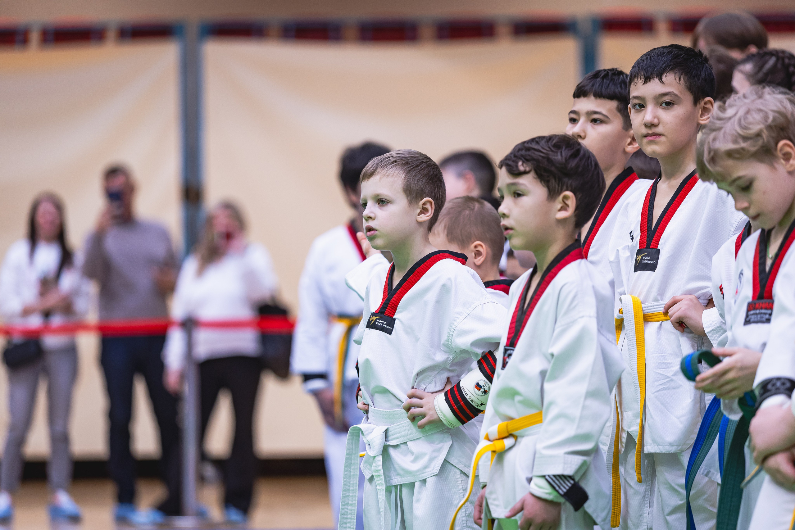 Турнир ВДЮФСОО «ФЕДЕРАЦИЯ ДЕТСКОГО ТХЭКВОНДО РОССИИ» и МОО СПКЕ «ЭРИДАН» по «СПОРТИВНОМУ БОЮ КЕРУГИ». Спортивный фотограф Максим Серегин