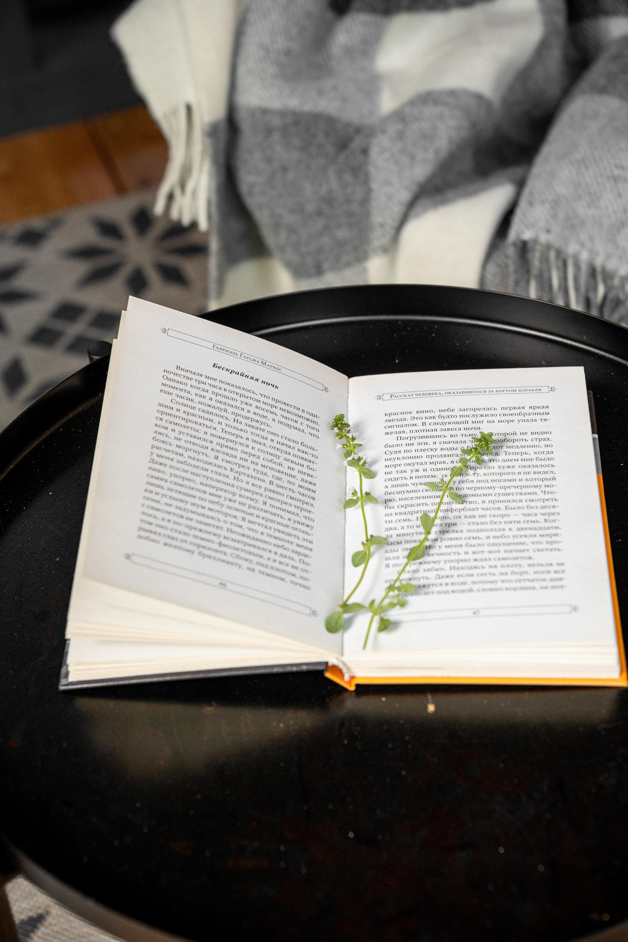 Дом под деревом под Истрой