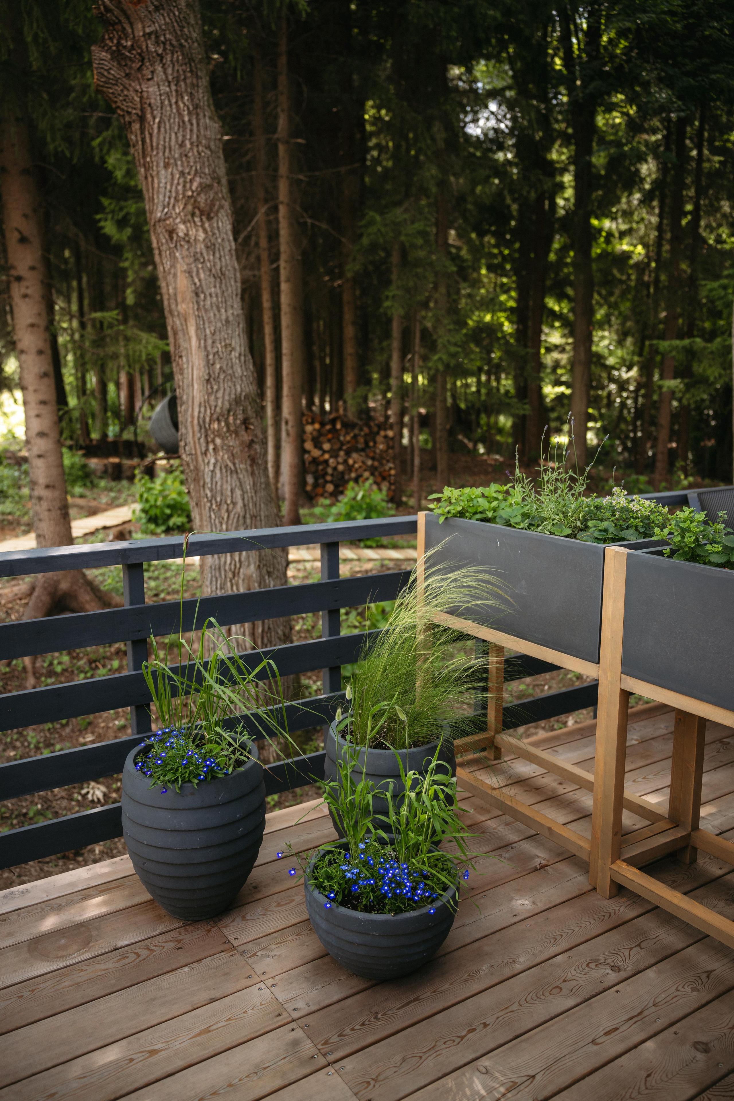 Дом под деревом под Истрой