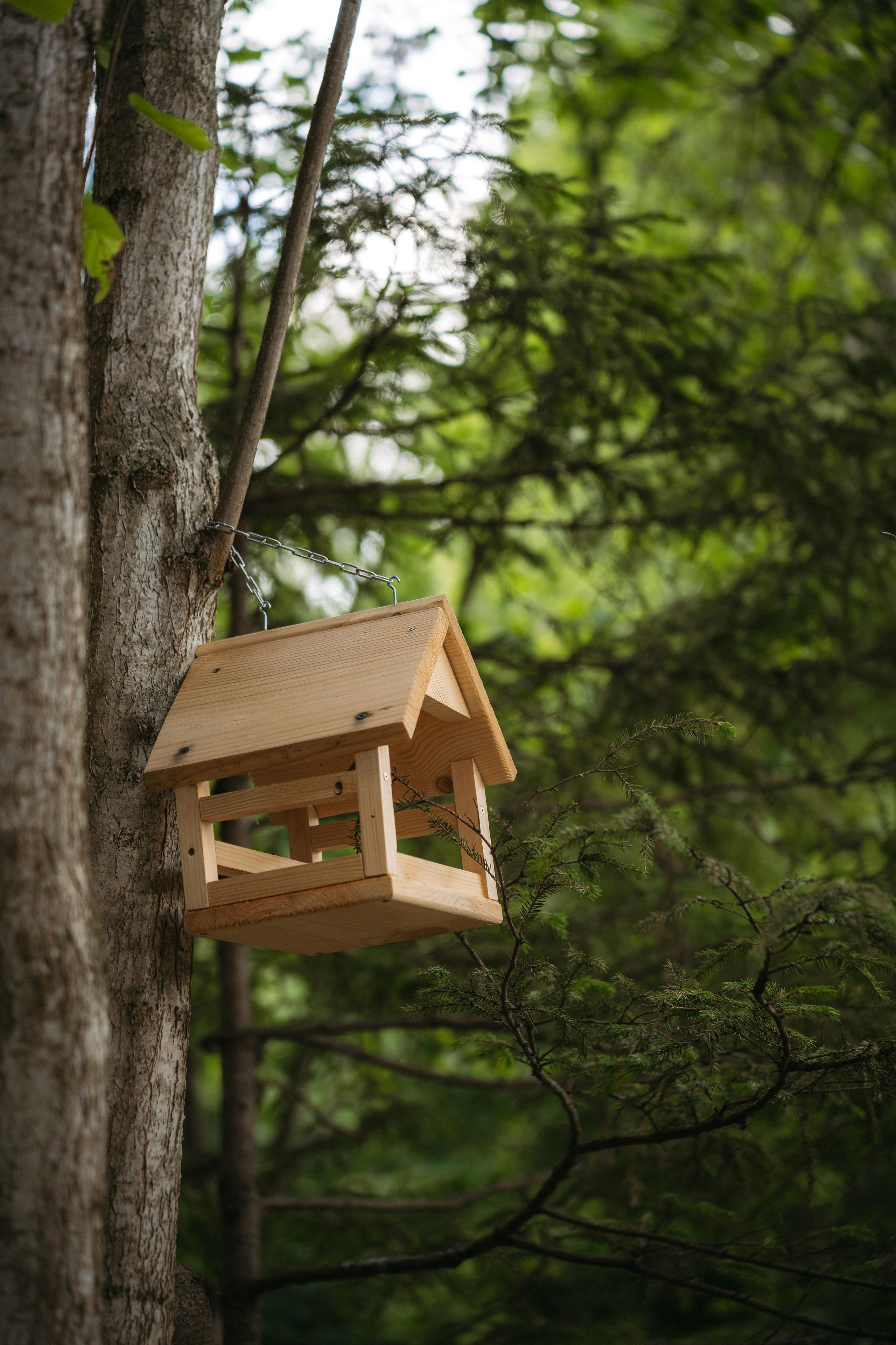 Дом под деревом под Истрой