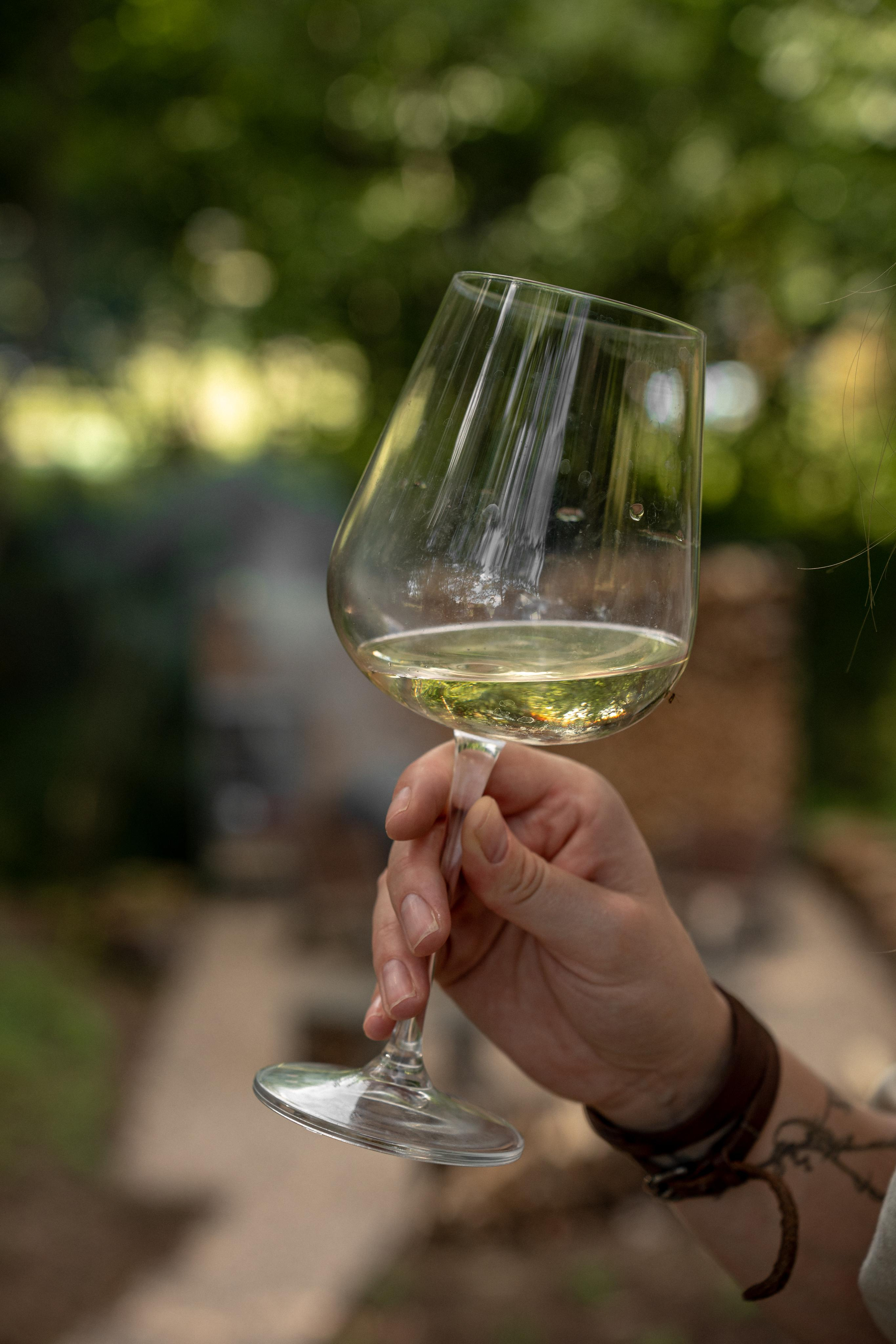 Дом под деревом под Истрой