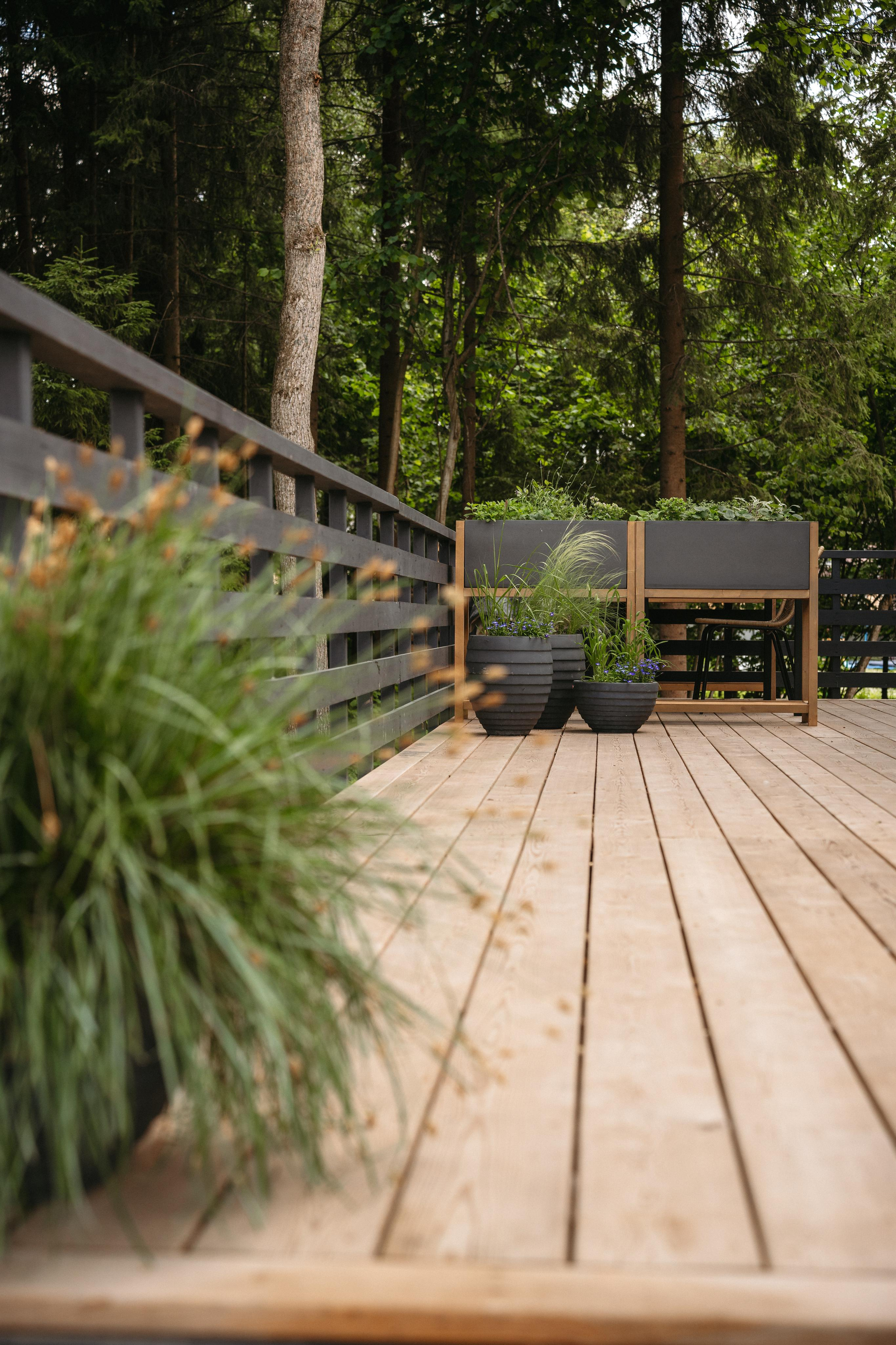 Дом под деревом под Истрой