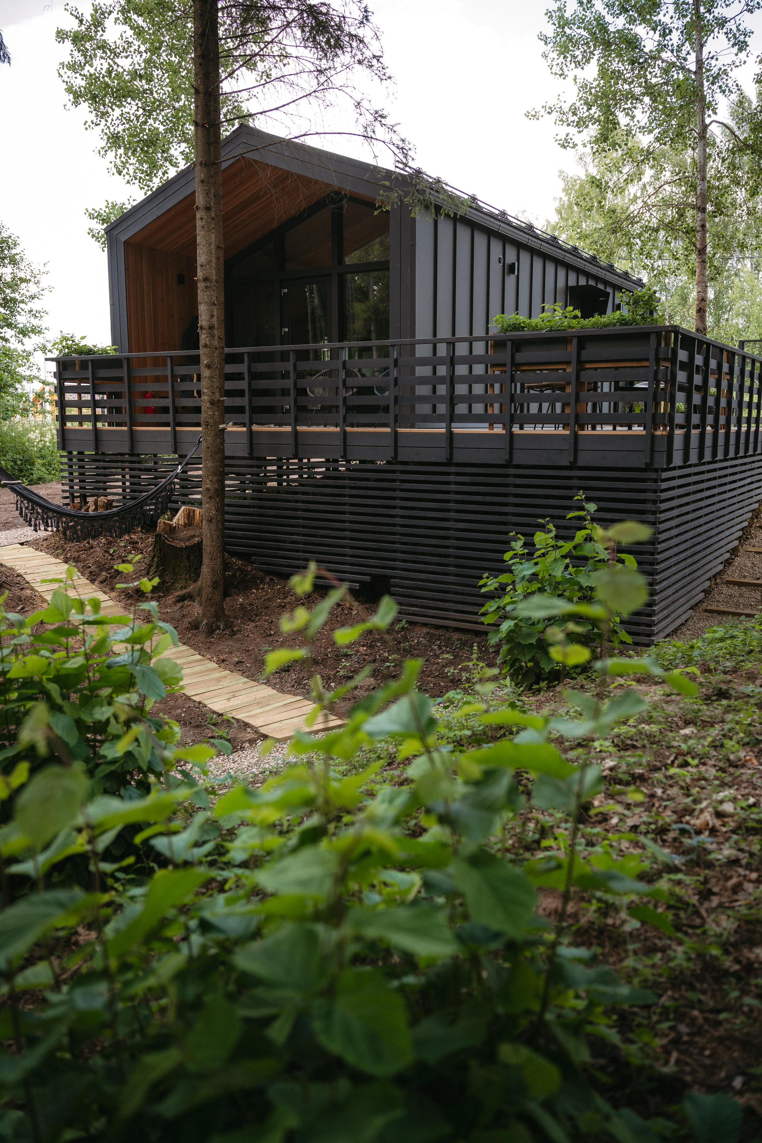 Дом под деревом под Истрой