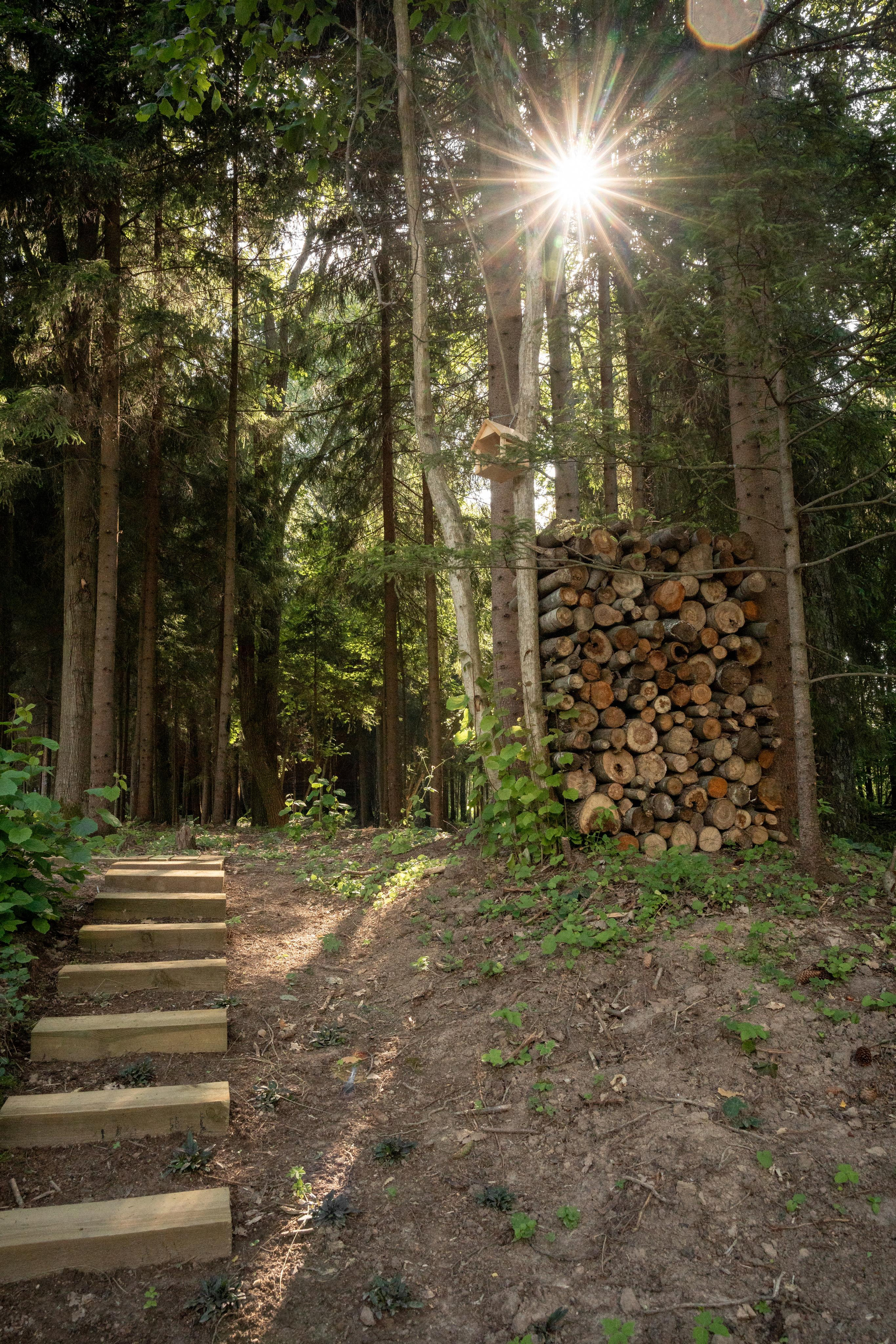 Дом под деревом под Истрой