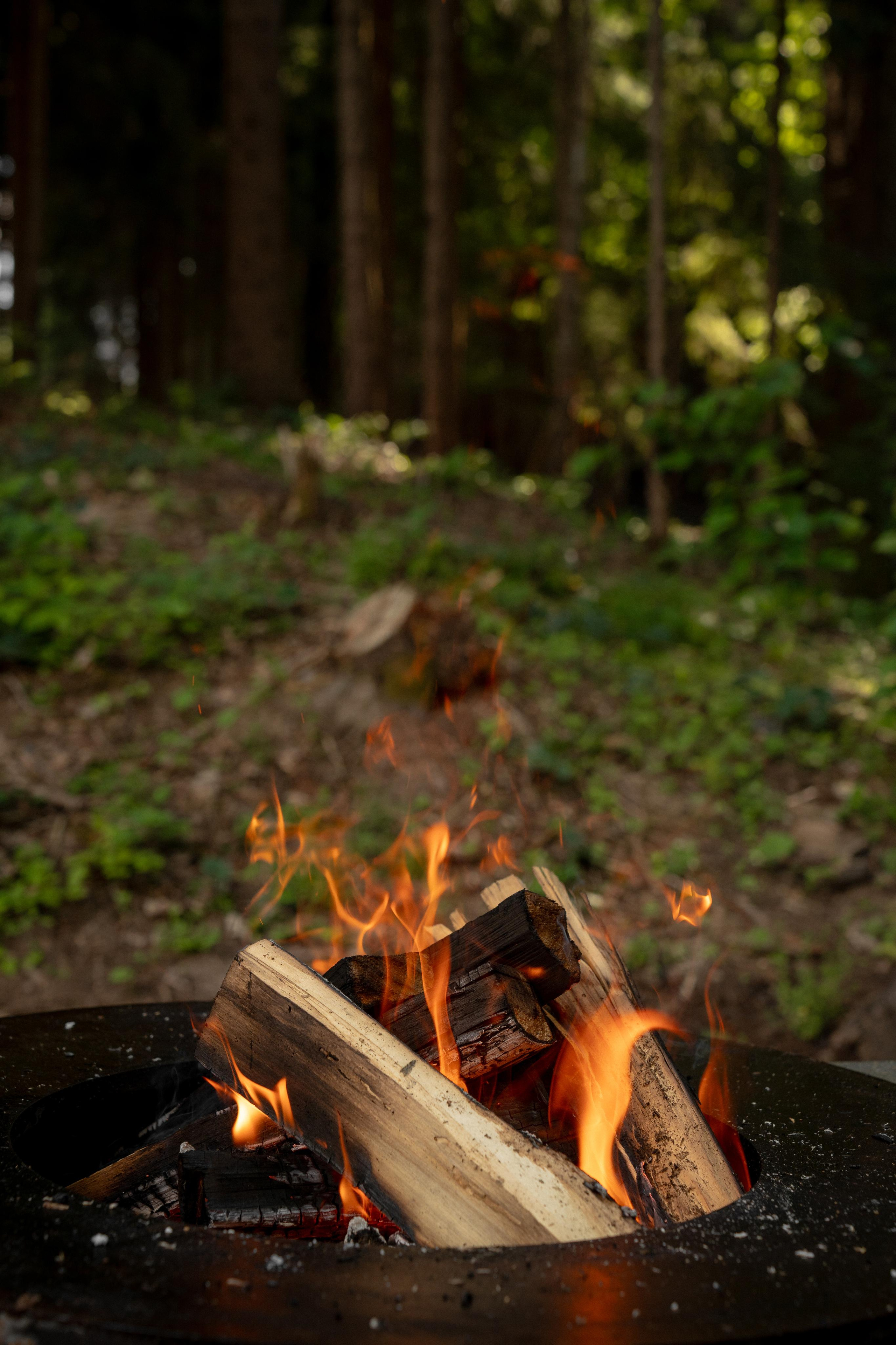 Дом под деревом под Истрой