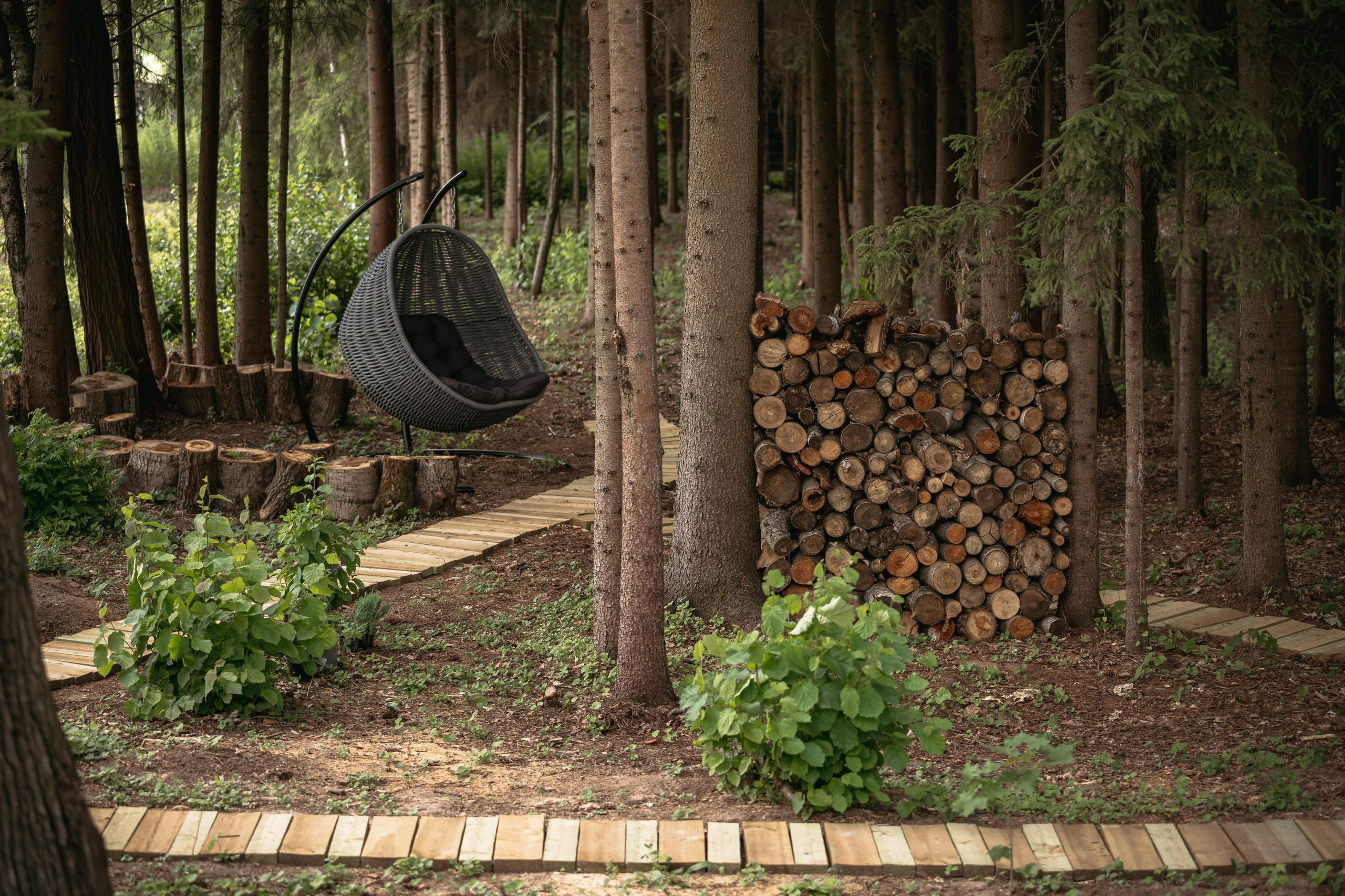 Дом под деревом под Истрой